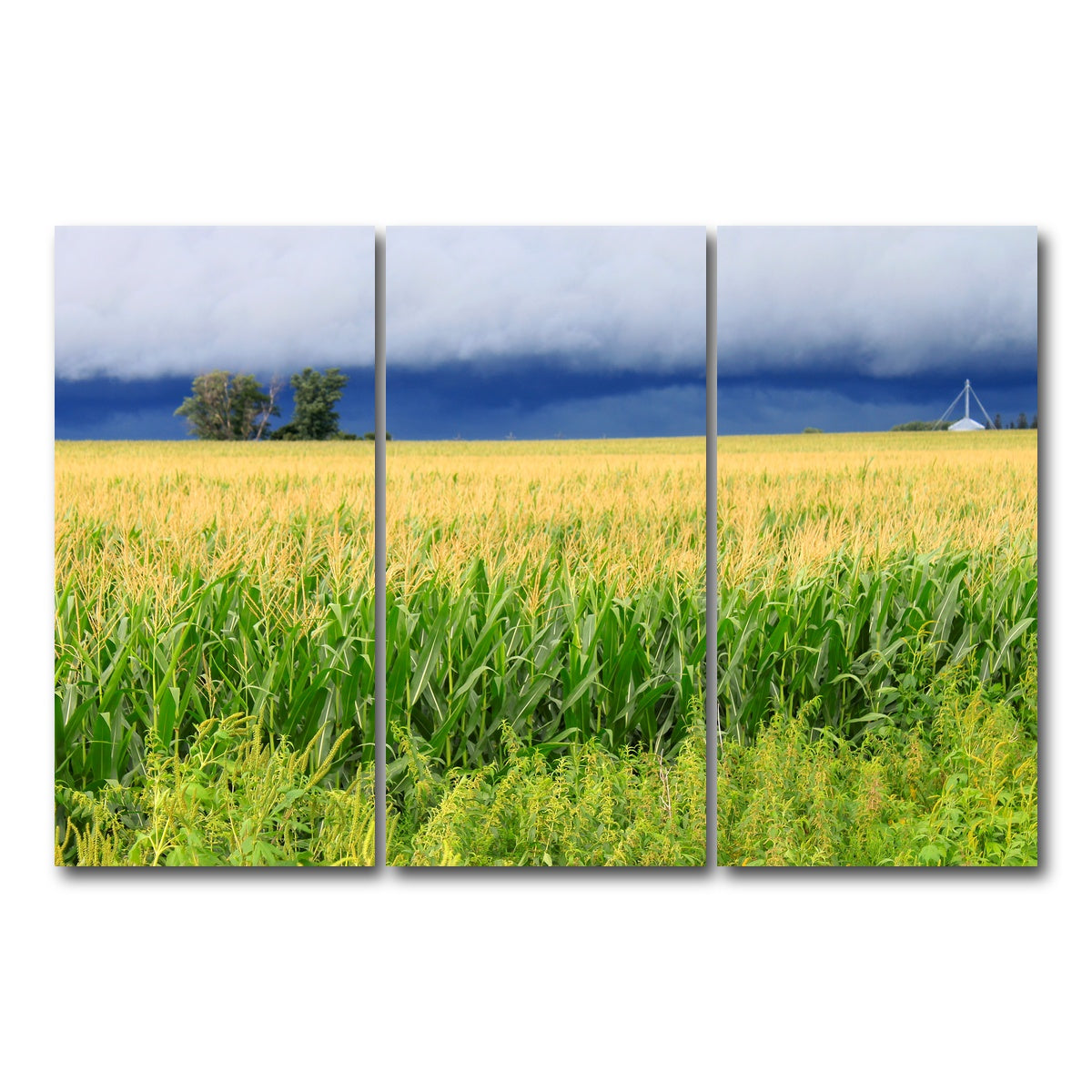 AUTO-MOCKUP WHITE | Thunderstorm Over Illinois Cornfield | 3 Piece | Gallery Wrap Canvas | group=12x24