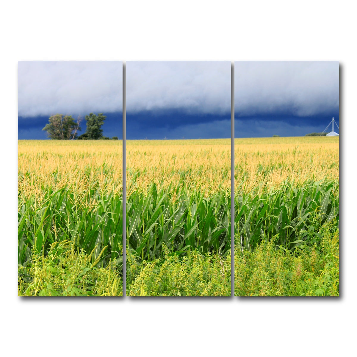 AUTO-MOCKUP WHITE | Thunderstorm Over Illinois Cornfield | 3 Piece | Gallery Wrap Canvas | group=8x18