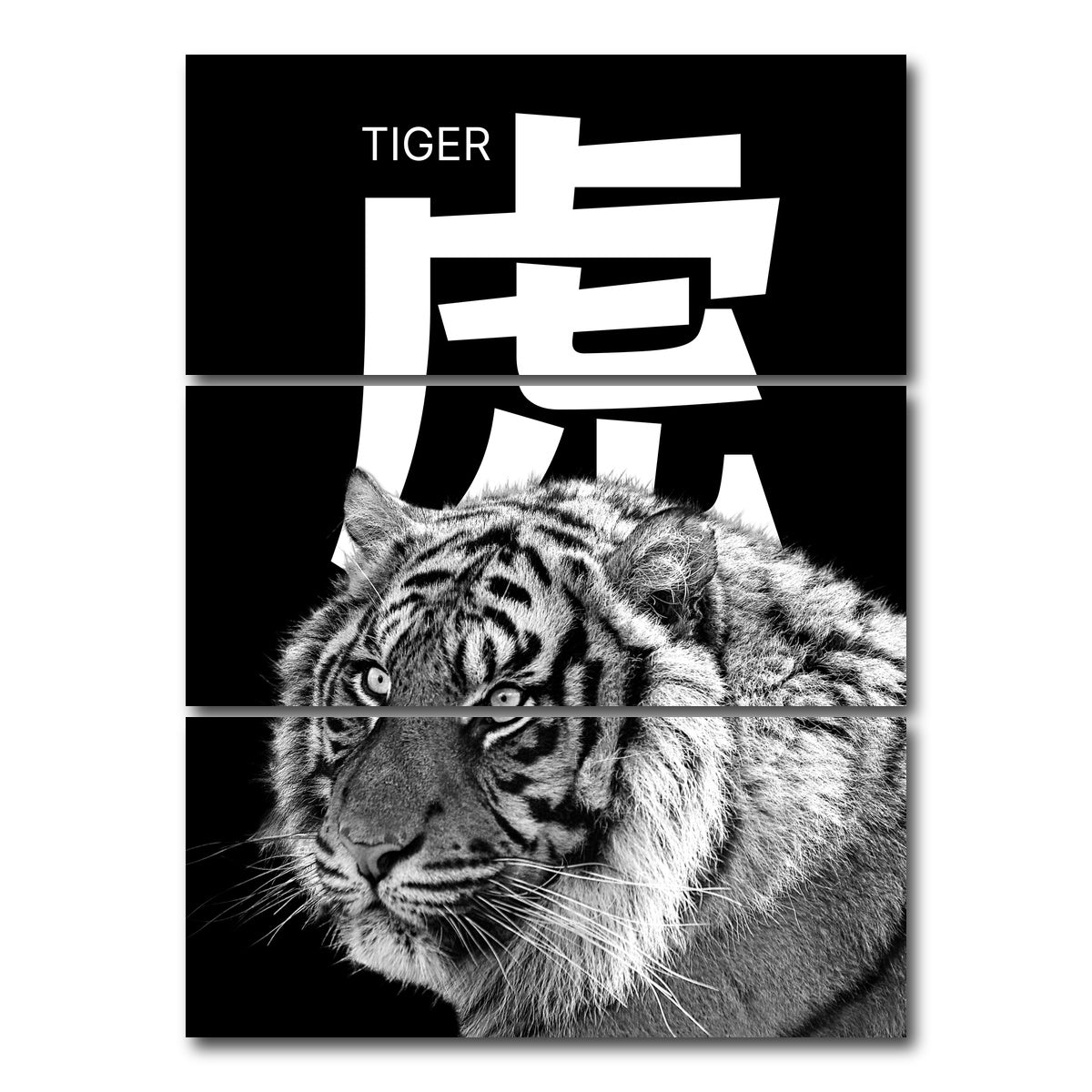 AUTO-MOCKUP WHITE | Tiger Head | 3 Piece | Gallery Wrap Canvas | group=8x18_stacked