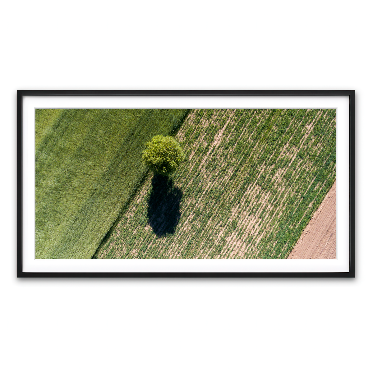 Framed Print 2x1 Black