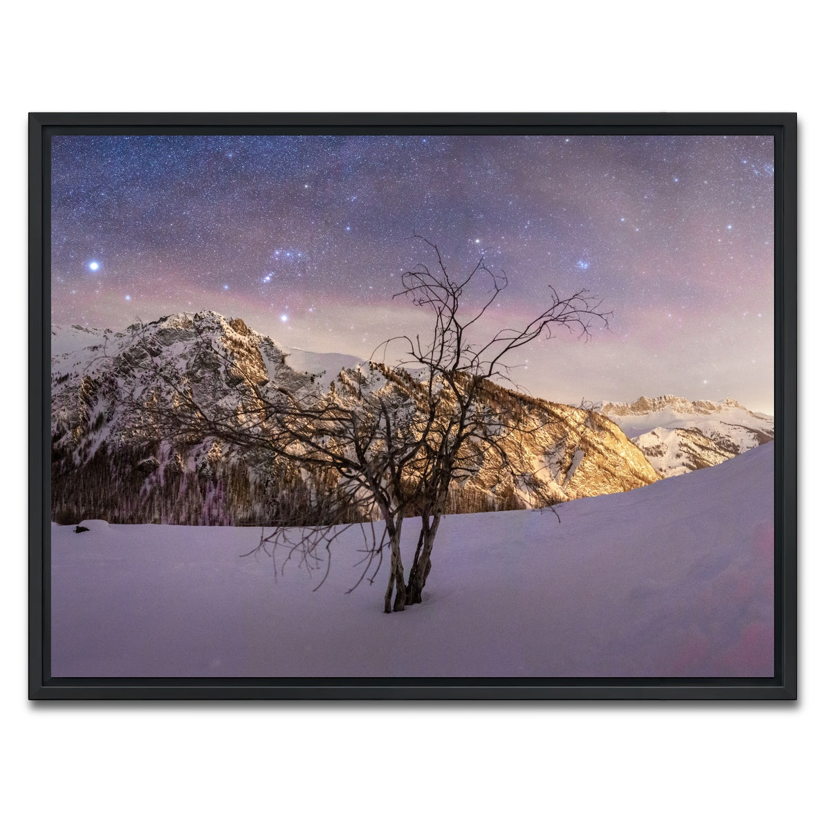 AUTO-MOCKUP WHITE | Tree of Hope | 1 Piece | Black Framed Canvas | group=4x3