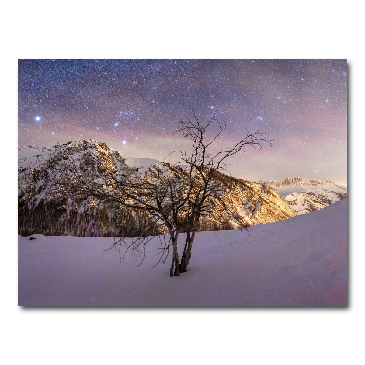 AUTO-MOCKUP WHITE | Tree of Hope | 1 Piece | Gallery Wrap Canvas | group=4x3