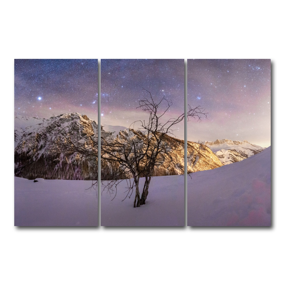 AUTO-MOCKUP WHITE | Tree of Hope | 3 Piece | Gallery Wrap Canvas | group=12x24