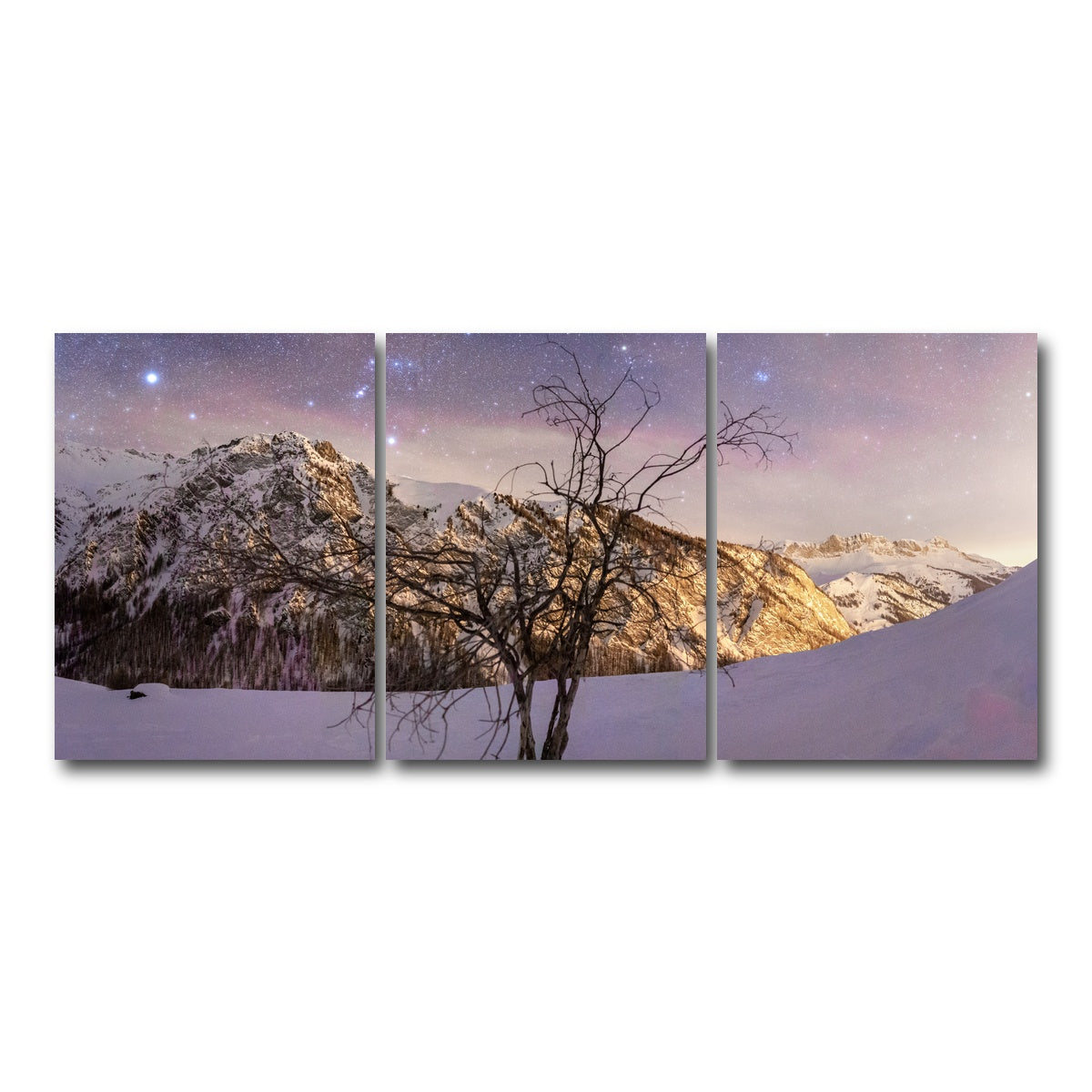 AUTO-MOCKUP WHITE | Tree of Hope | 3 Piece | Gallery Wrap Canvas | group=18x24