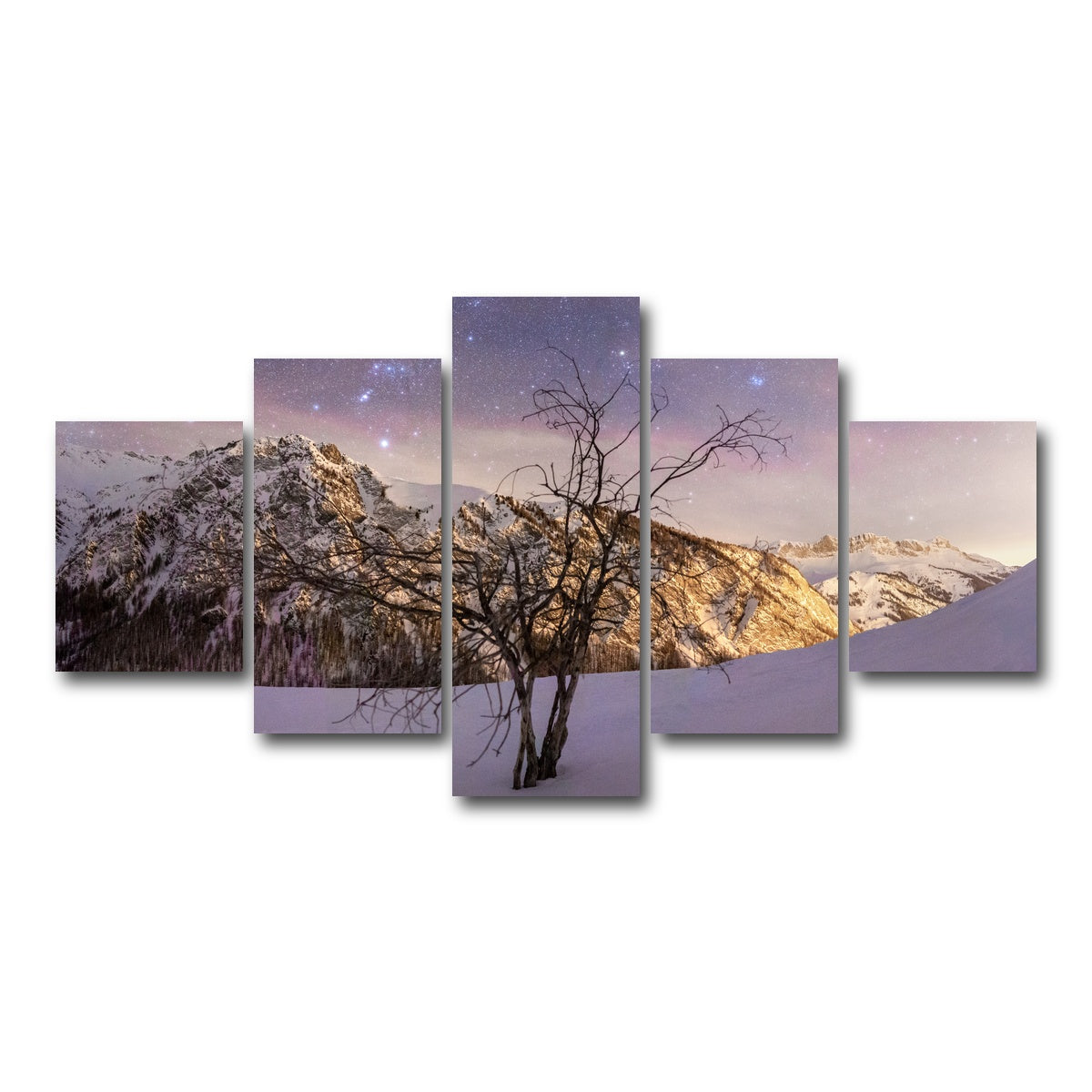 AUTO-MOCKUP WHITE | Tree of Hope | 5 Piece | Gallery Wrap Canvas | group=5_short