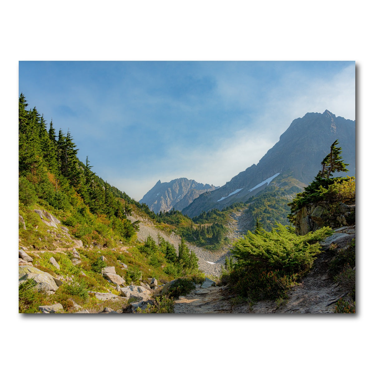 AUTO-MOCKUP WHITE | Treeline at Cascade Pass | 1 Piece | Gallery Wrap Canvas | group=4x3