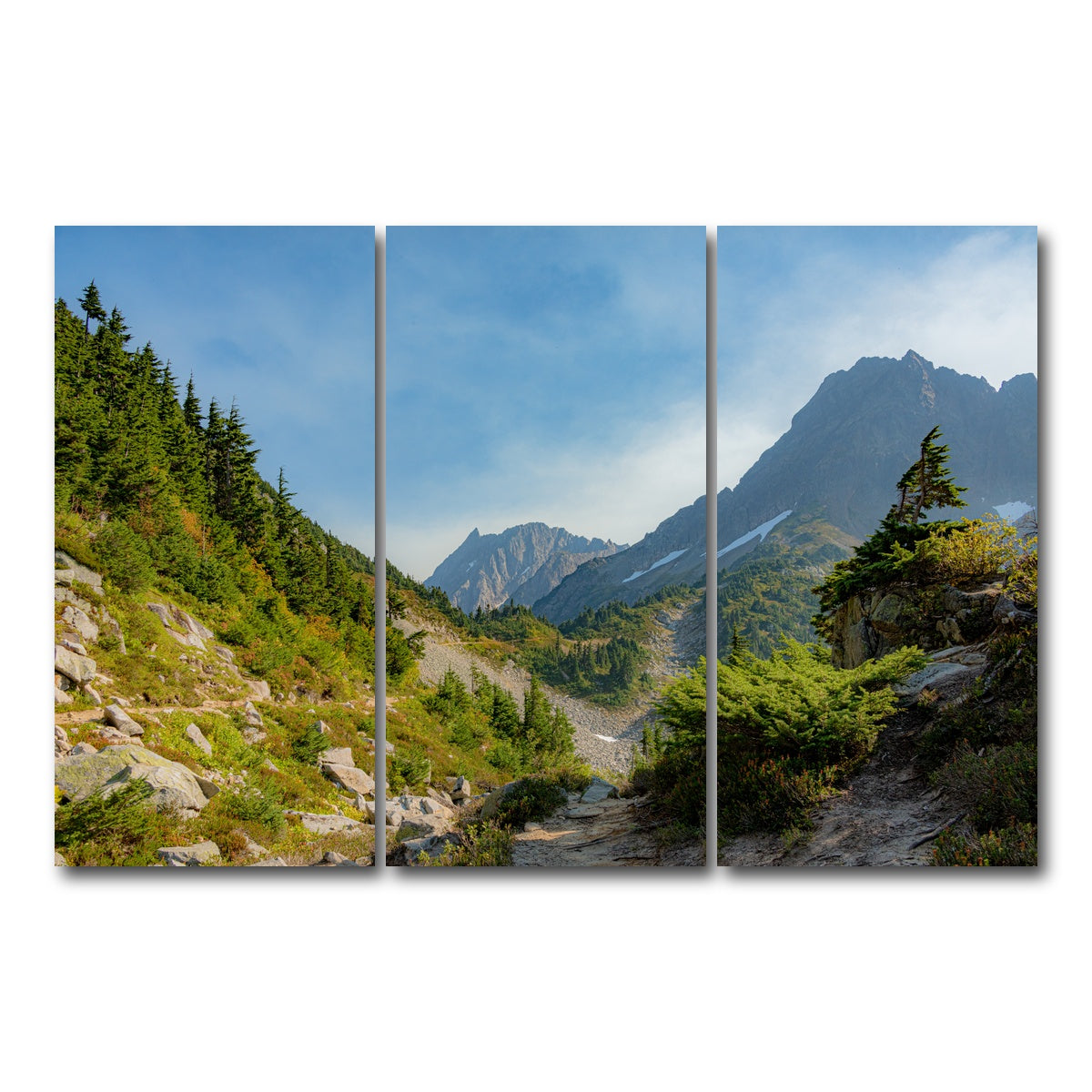 AUTO-MOCKUP WHITE | Treeline at Cascade Pass | 3 Piece | Gallery Wrap Canvas | group=12x24