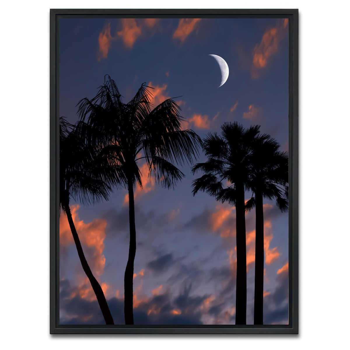 AUTO-MOCKUP WHITE | Tropical Night | 1 Piece | Black Framed Canvas | group=3x4