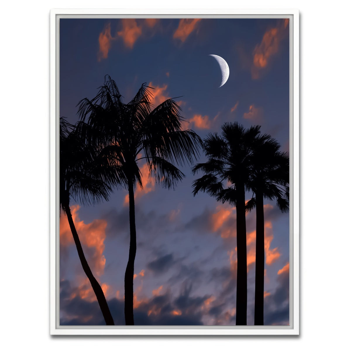 AUTO-MOCKUP WHITE | Tropical Night | 1 Piece | White Framed Canvas | group=3x4