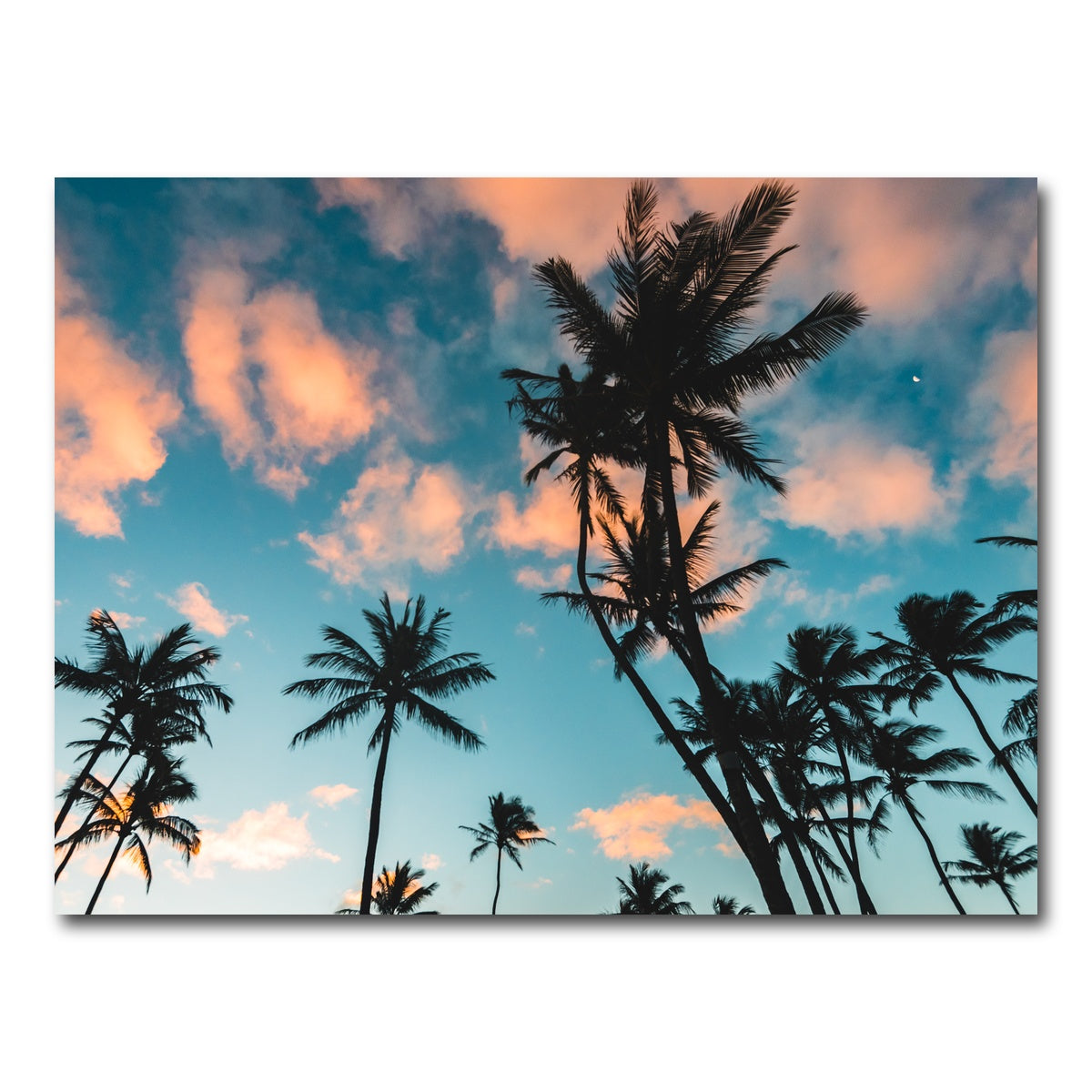 AUTO-MOCKUP WHITE | Tropical Sunrise | 1 Piece | Gallery Wrap Canvas | group=4x3