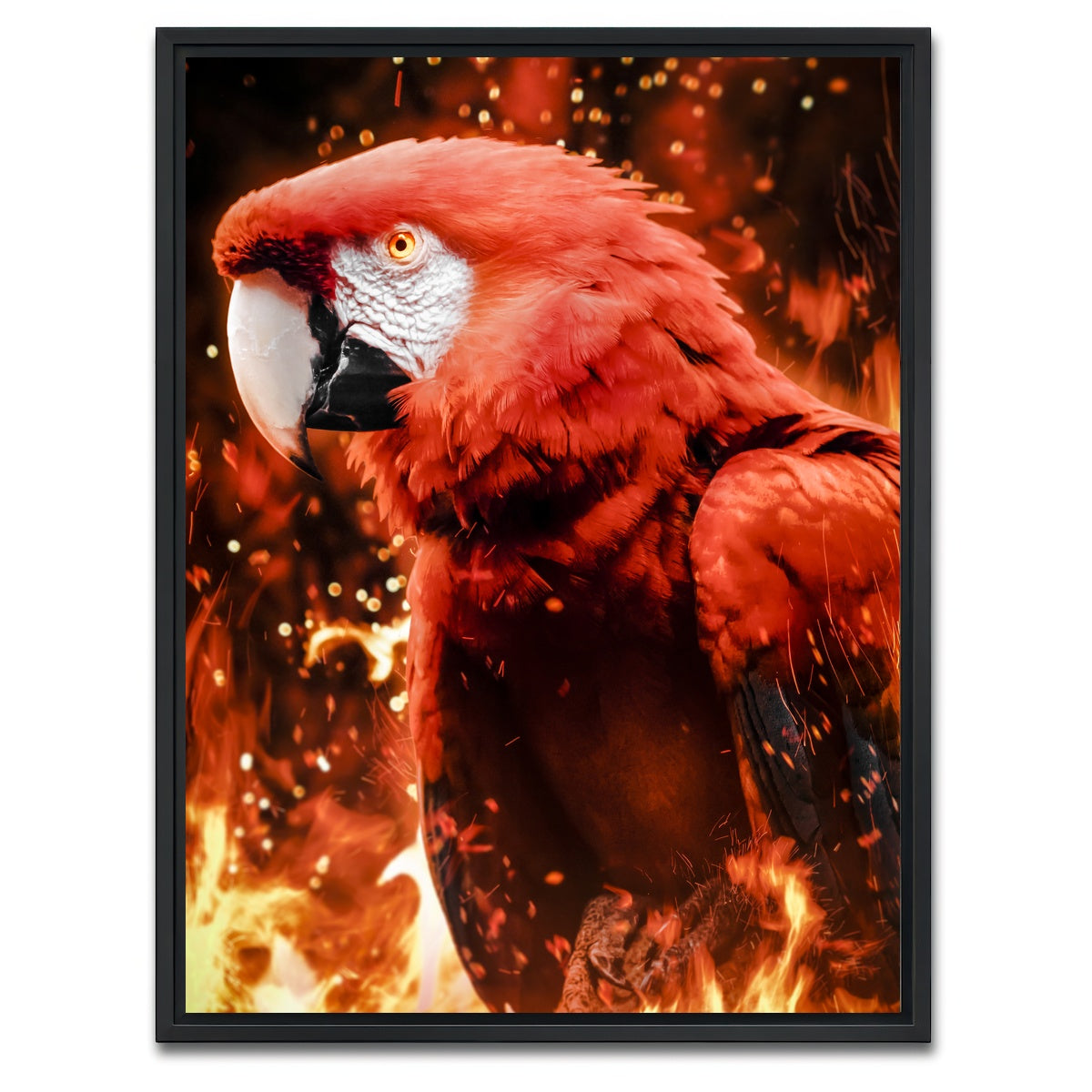 AUTO-MOCKUP WHITE | Tropical phoenix | 1 Piece | Black Framed Canvas | group=3x4