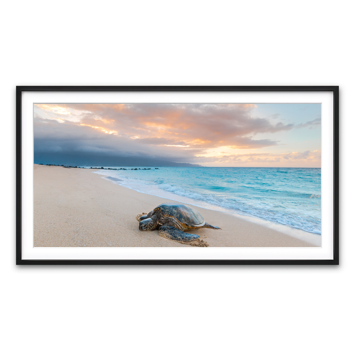 Framed Print 2x1 Black