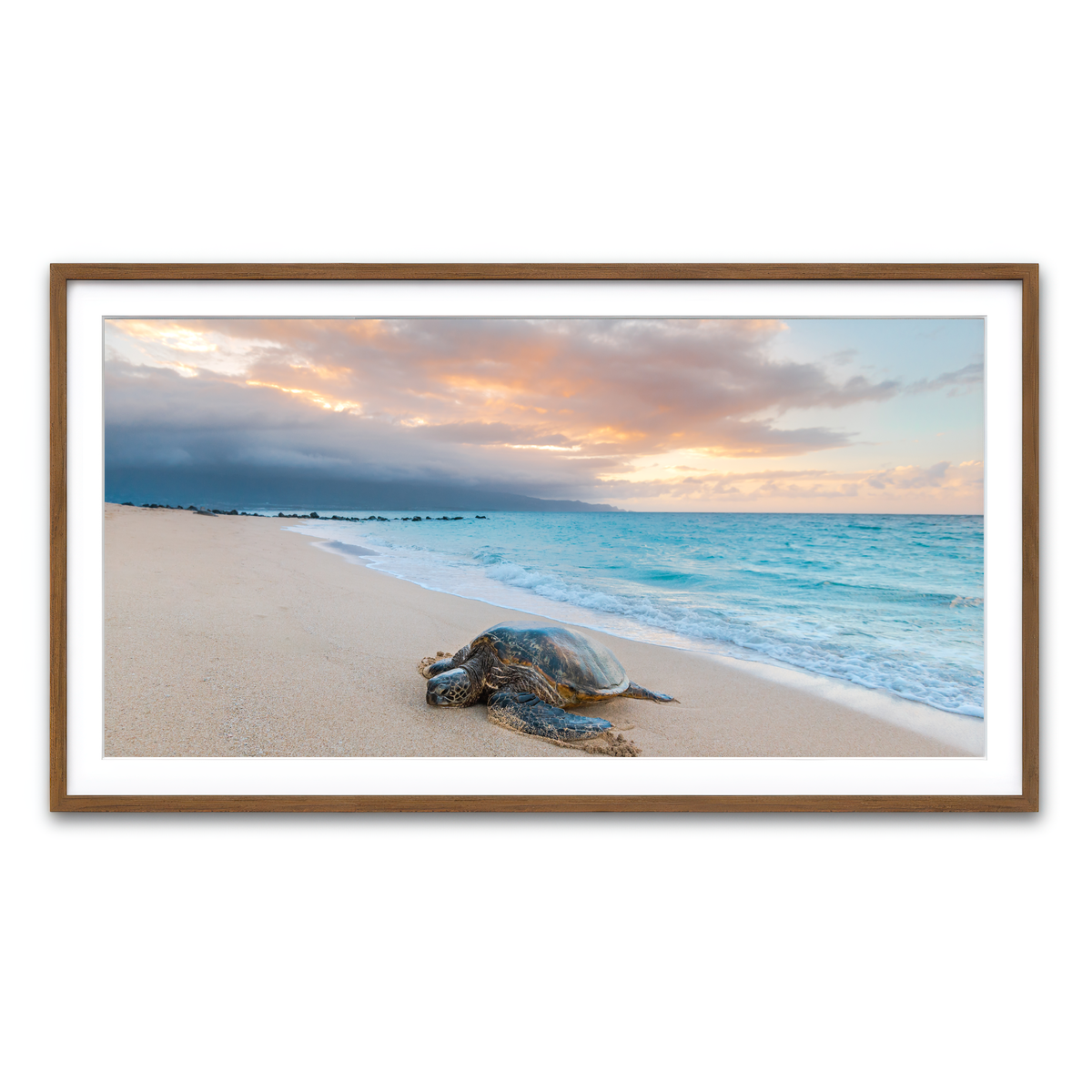 Framed Print 2x1 Walnut