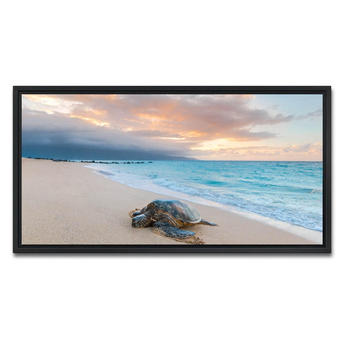 AUTO-MOCKUP WHITE | Turtle Sunset | 1 Piece | Black Framed Canvas | group=2x1