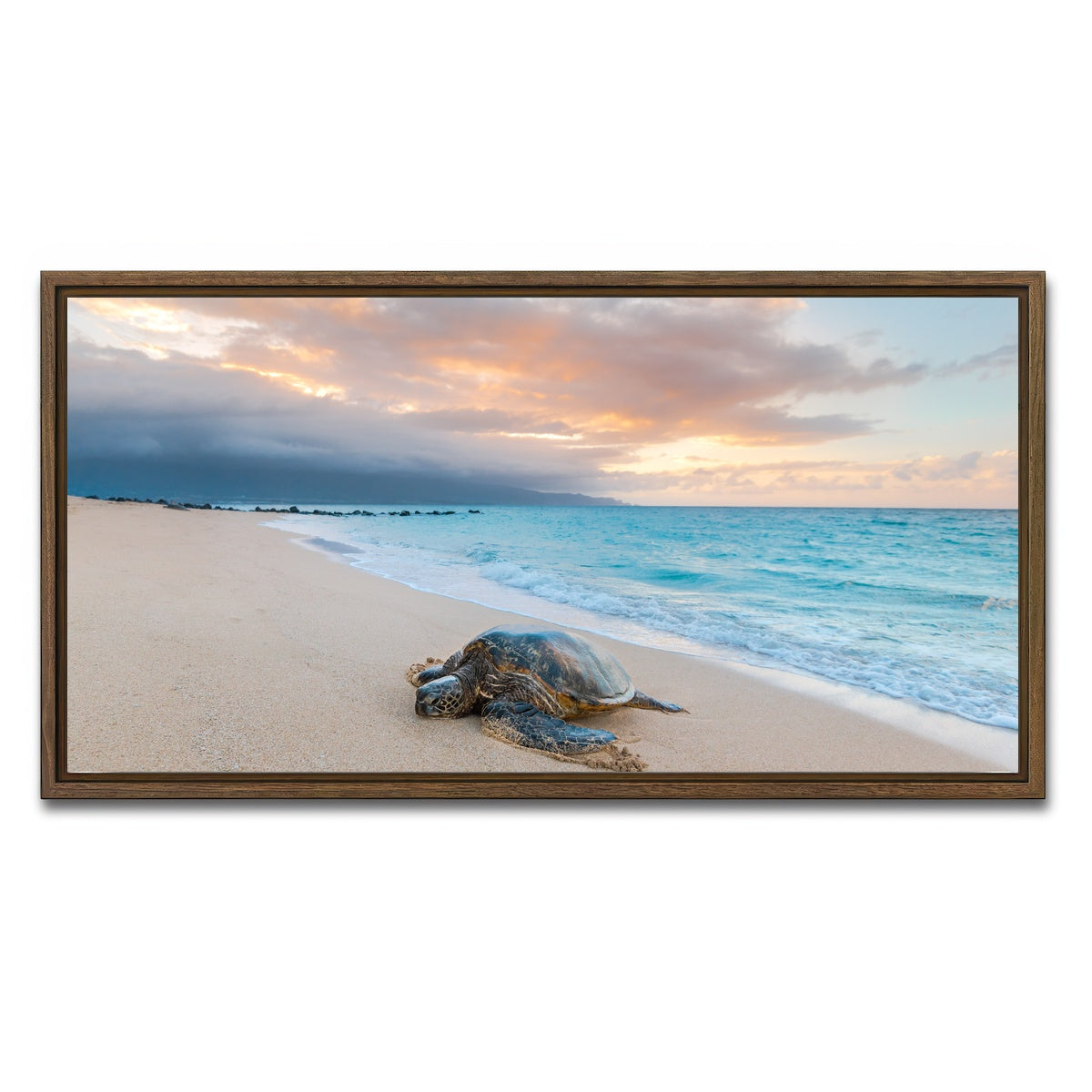 AUTO-MOCKUP WHITE | Turtle Sunset | 1 Piece | Walnut Framed Canvas | group=2x1