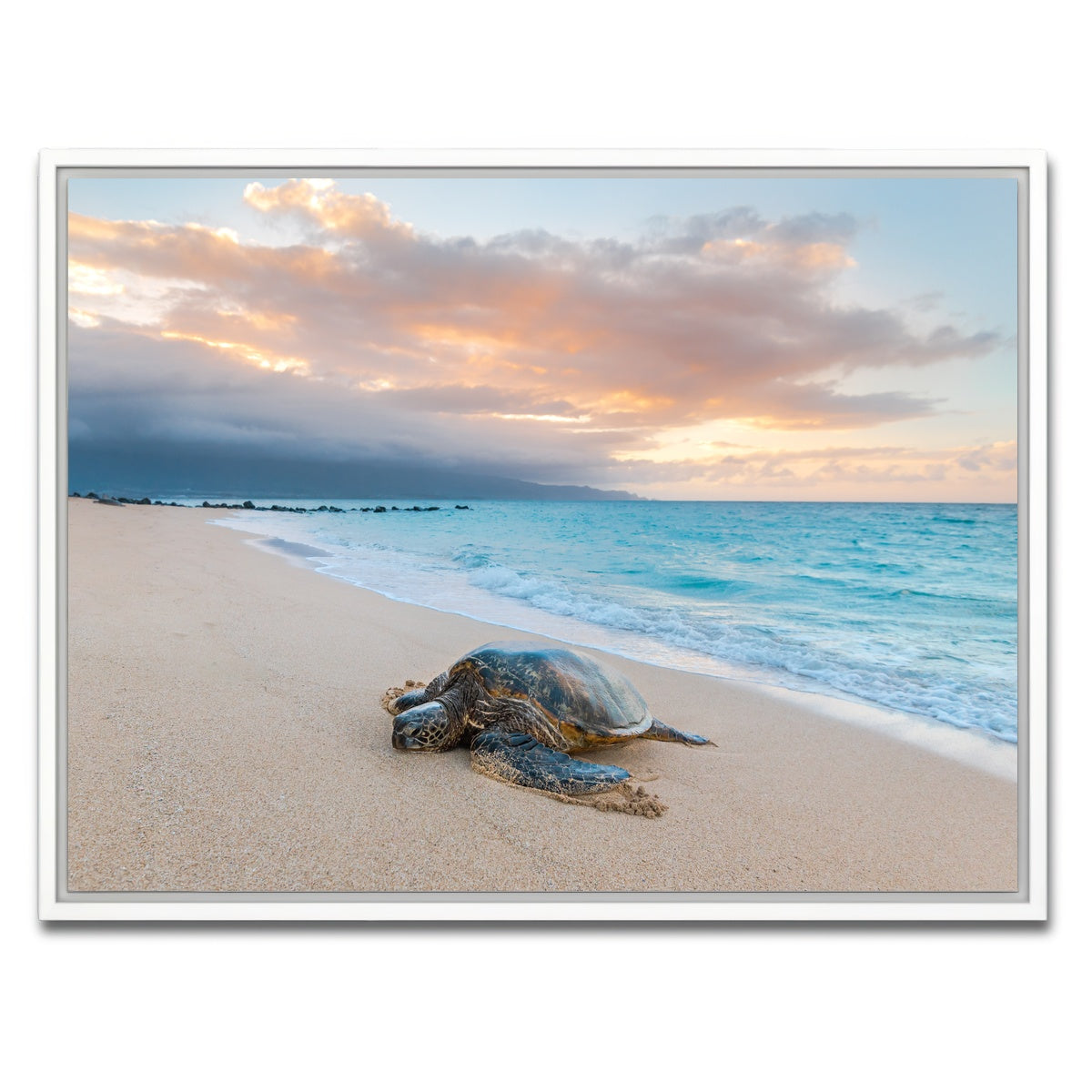 AUTO-MOCKUP WHITE | Turtle Sunset | 1 Piece | White Framed Canvas | group=4x3