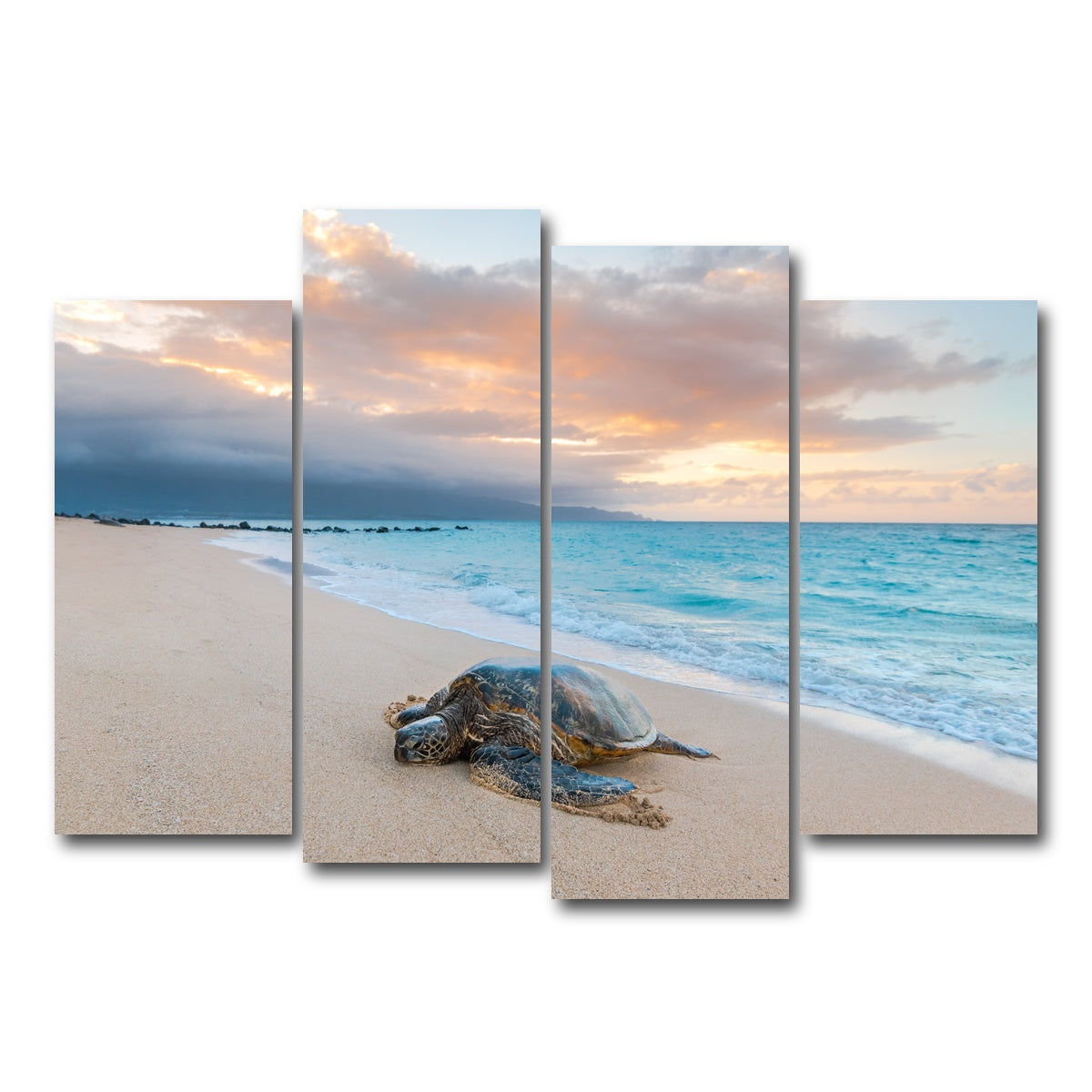 AUTO-MOCKUP WHITE | Turtle Sunset | 4 Piece | Gallery Wrap Canvas | group=4_normal