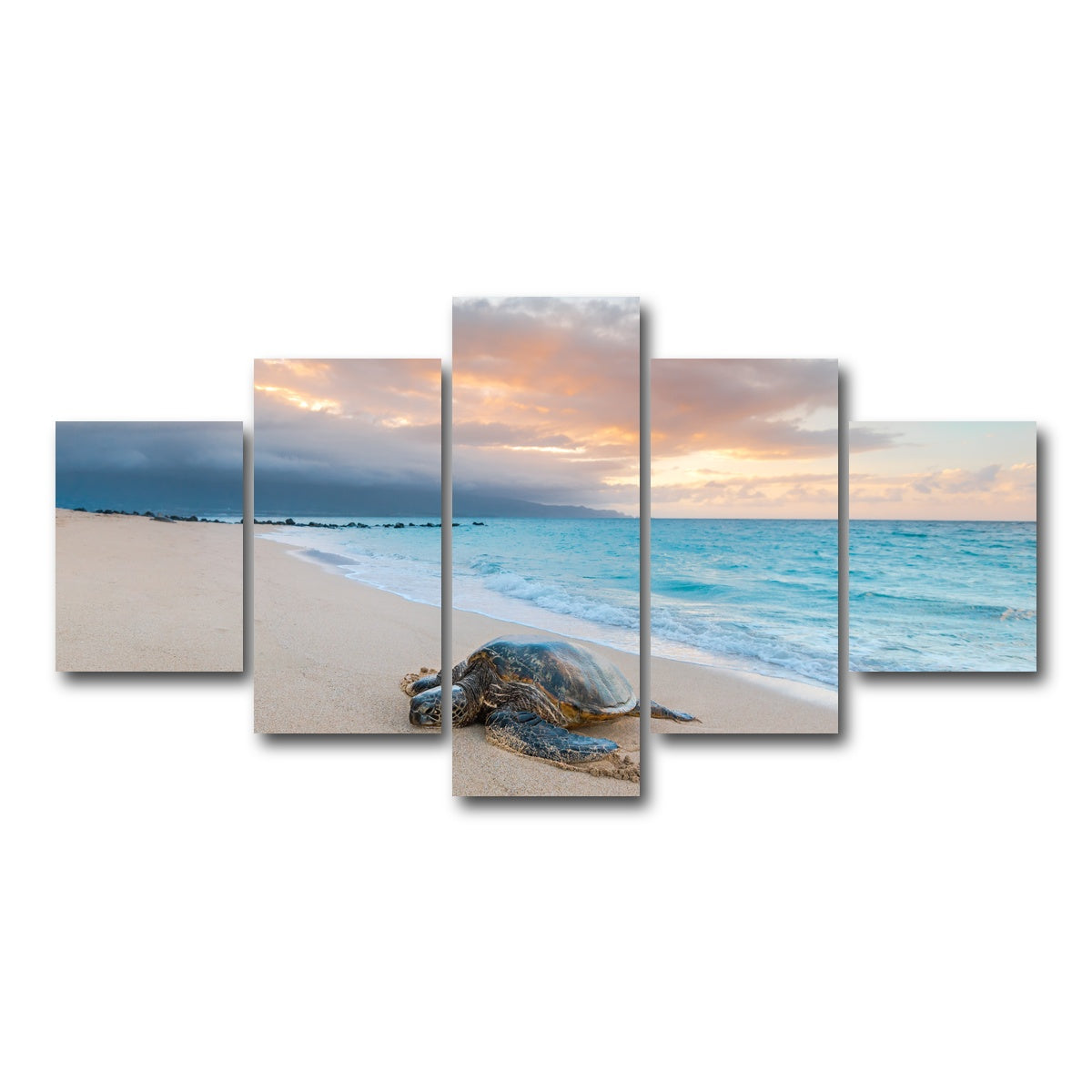 AUTO-MOCKUP WHITE | Turtle Sunset | 5 Piece | Gallery Wrap Canvas | group=5_short