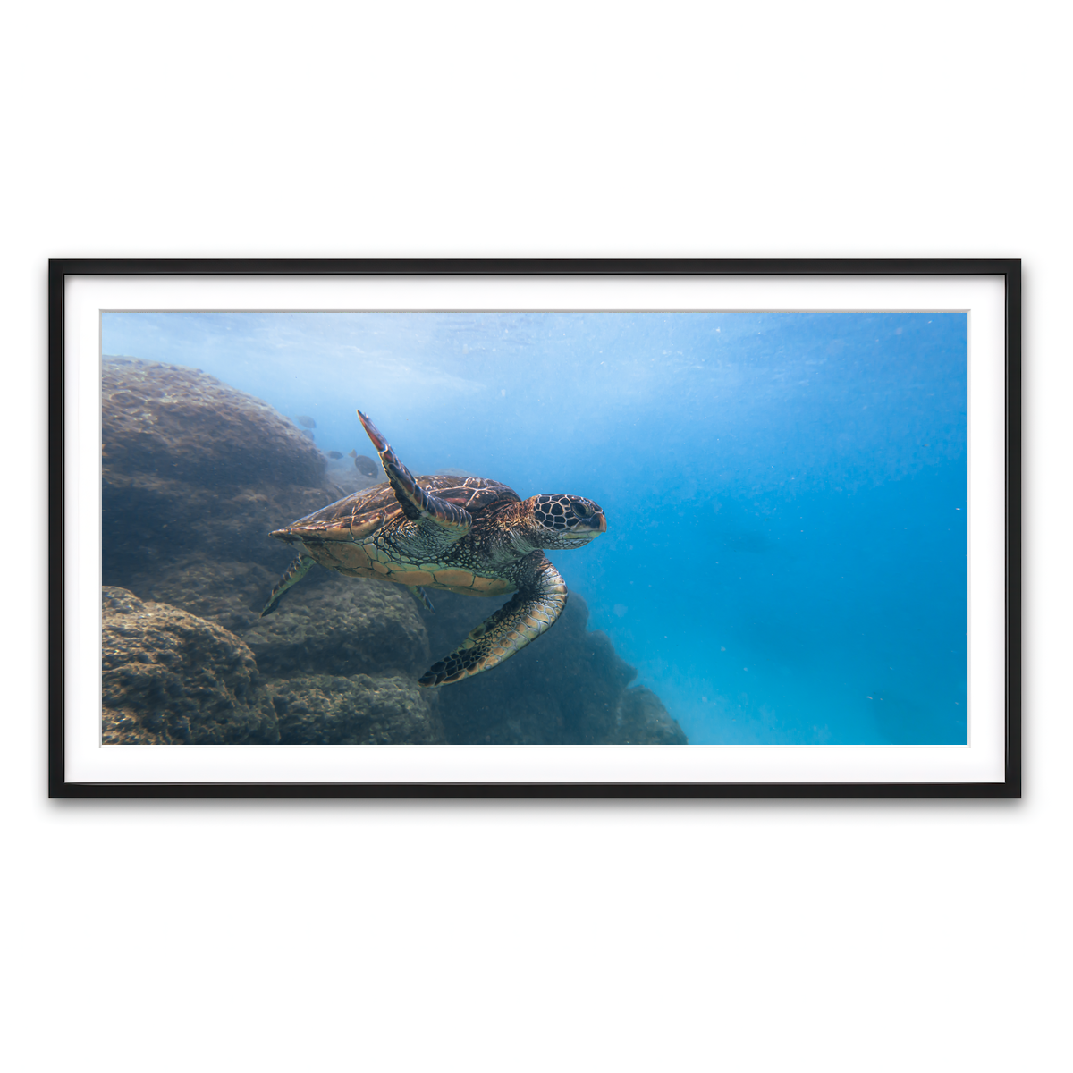 Framed Print 2x1 Black