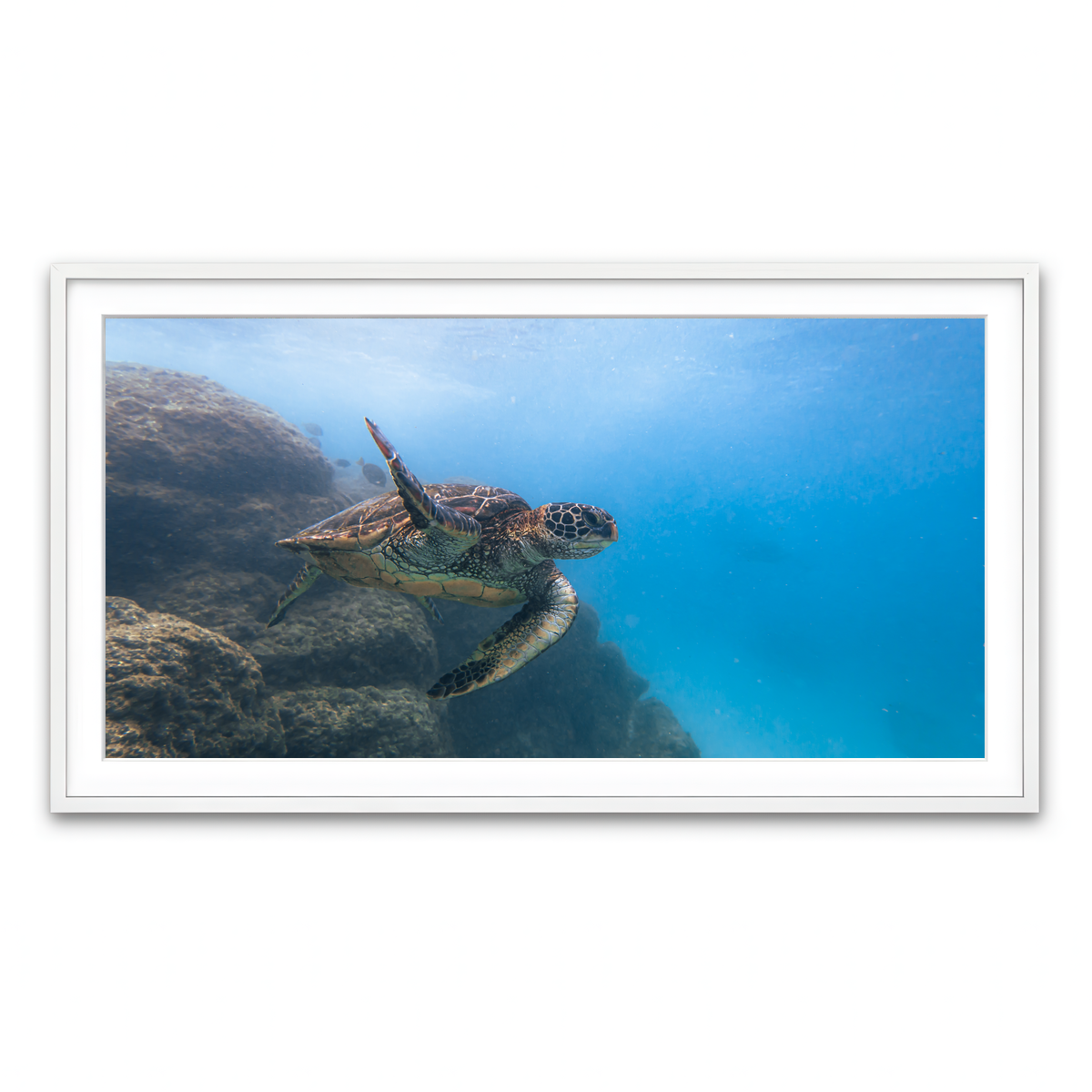Framed Print 2x1 White