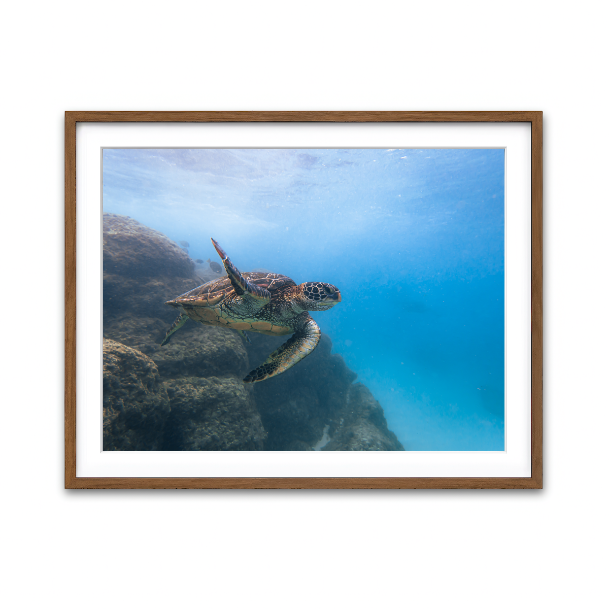 Framed Print 4x3 Walnut