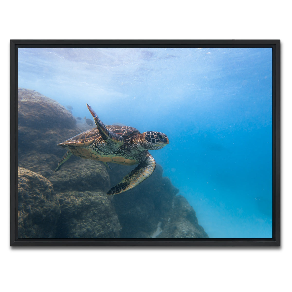 AUTO-MOCKUP WHITE | Turtle Wave | 1 Piece | Black Framed Canvas | group=4x3