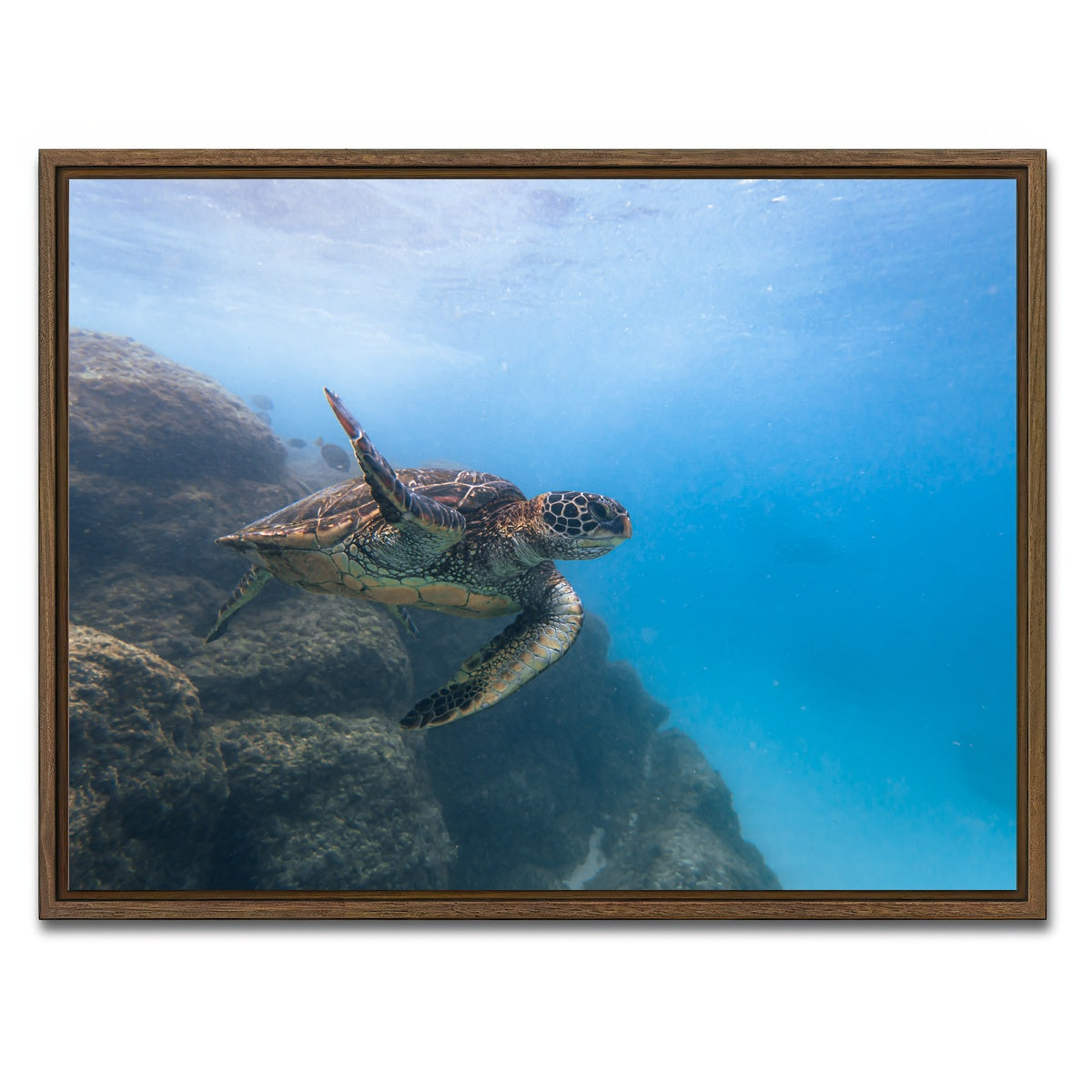 AUTO-MOCKUP WHITE | Turtle Wave | 1 Piece | Walnut Framed Canvas | group=4x3