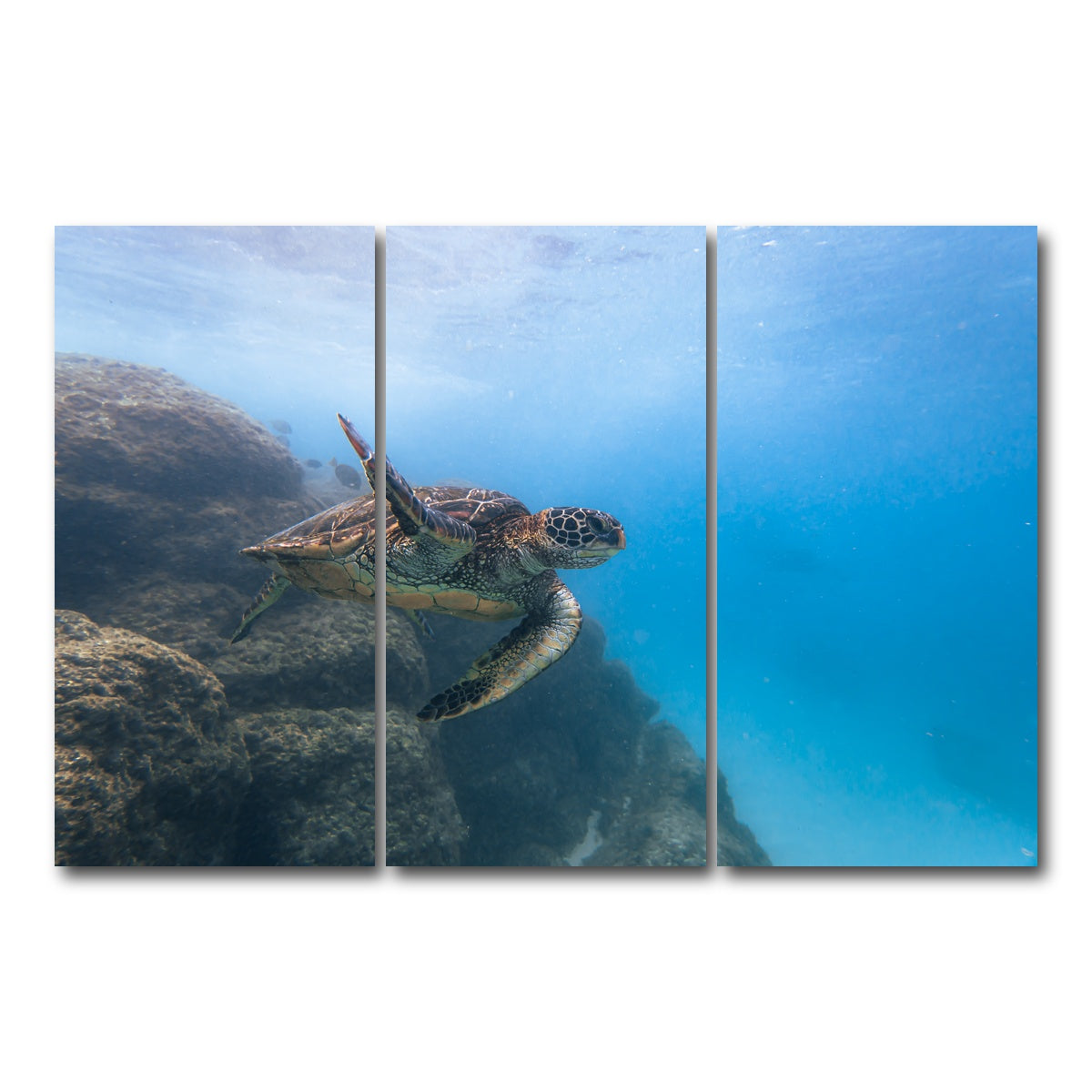 AUTO-MOCKUP WHITE | Turtle Wave | 3 Piece | Gallery Wrap Canvas | group=12x24