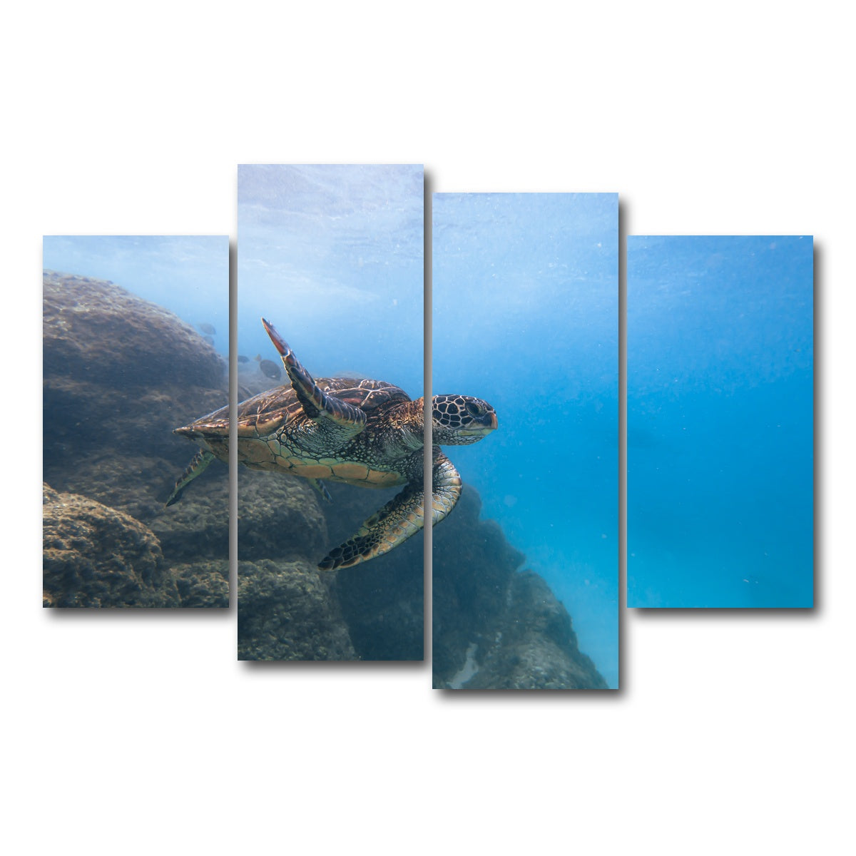 AUTO-MOCKUP WHITE | Turtle Wave | 4 Piece | Gallery Wrap Canvas | group=4_short