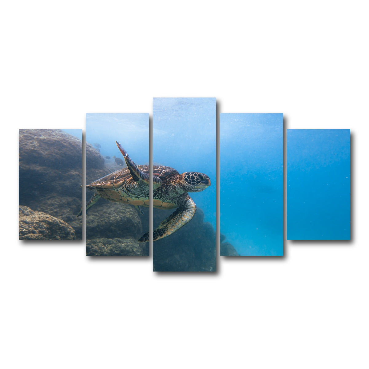 AUTO-MOCKUP WHITE | Turtle Wave | 5 Piece | Gallery Wrap Canvas | group=5_normal