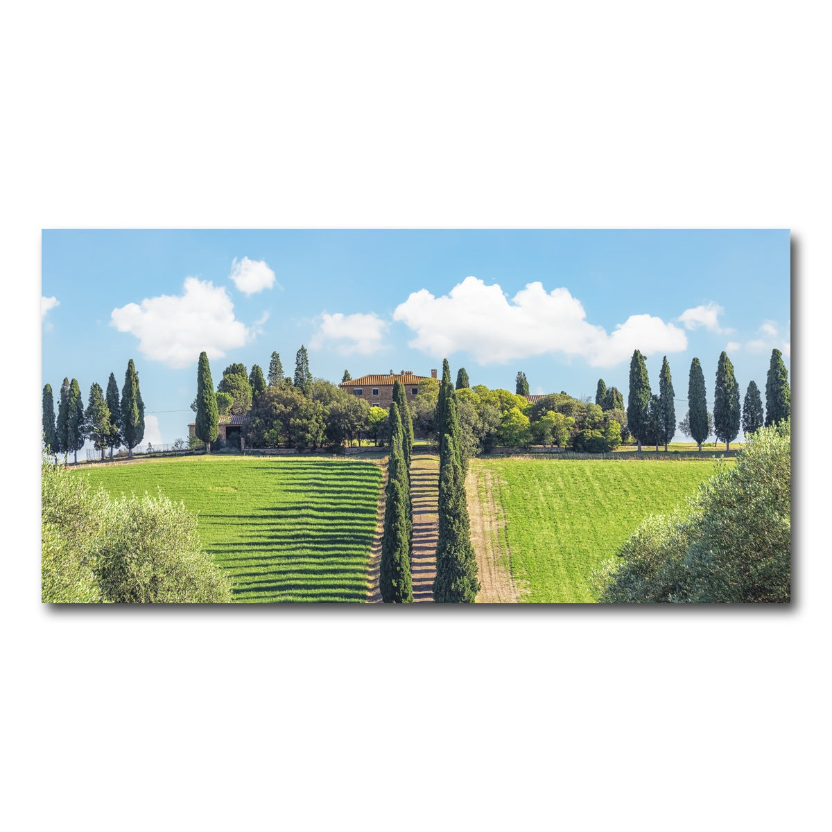 AUTO-MOCKUP WHITE | Tuscany | 1 Piece | Gallery Wrap Canvas | group=2x1