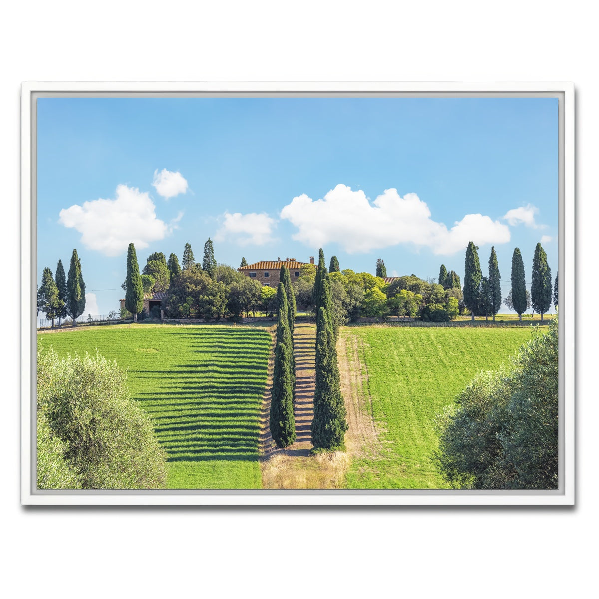 AUTO-MOCKUP WHITE | Tuscany | 1 Piece | White Framed Canvas | group=4x3