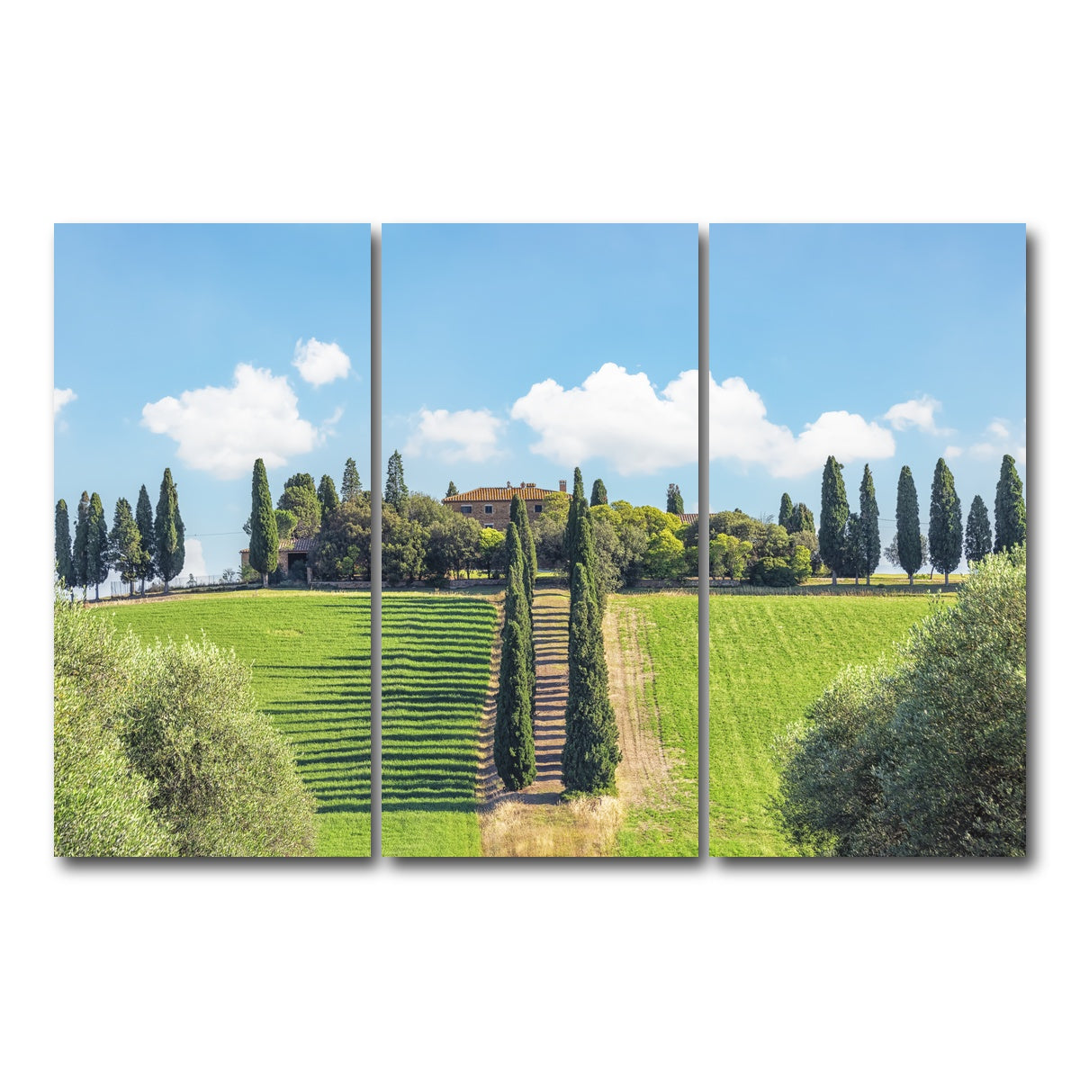 AUTO-MOCKUP WHITE | Tuscany | 3 Piece | Gallery Wrap Canvas | group=12x24