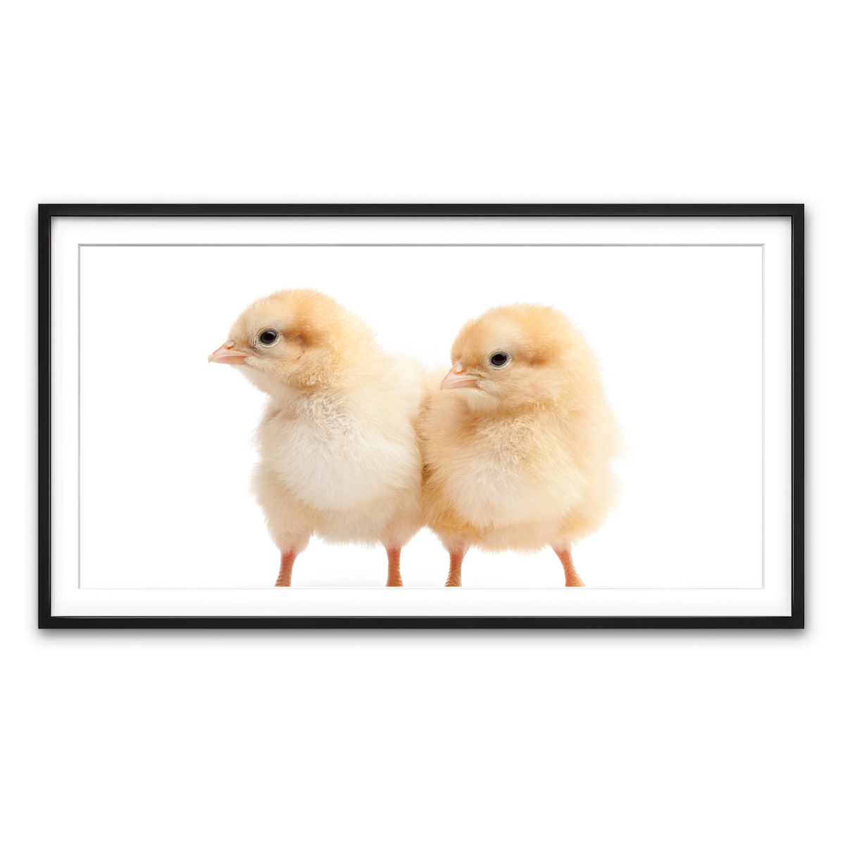 Framed Print 2x1 Black