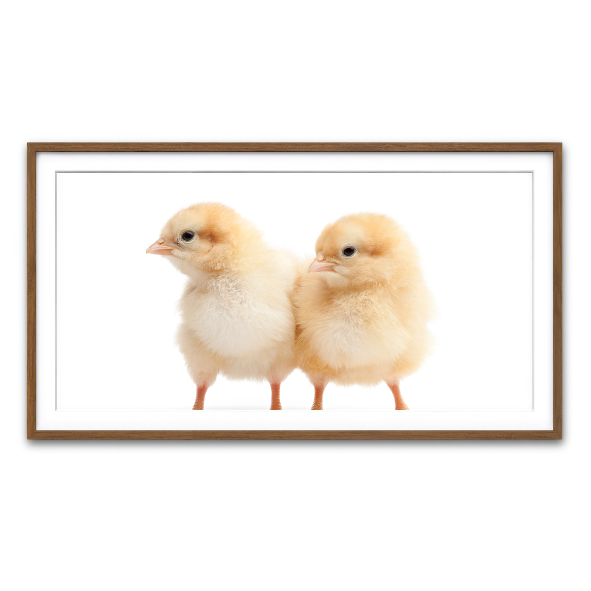 Framed Print 2x1 Walnut