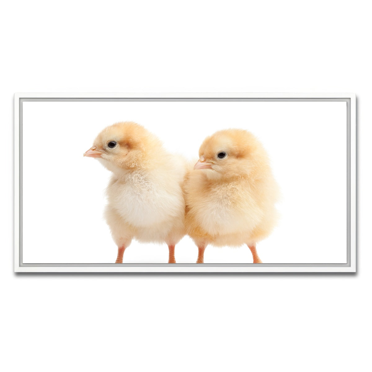 AUTO-MOCKUP WHITE | Two Baby Chickens | 1 Piece | White Framed Canvas | group=2x1