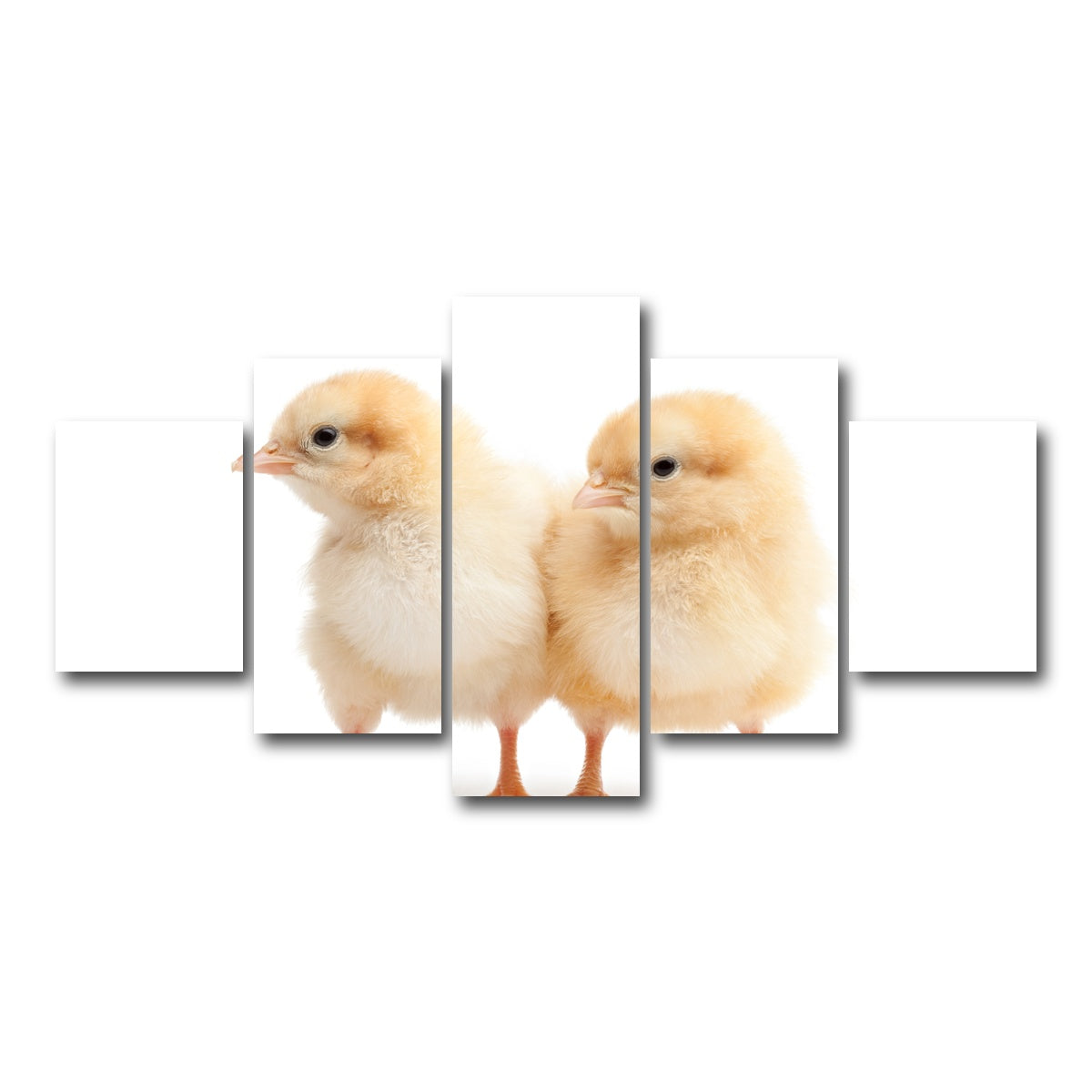 AUTO-MOCKUP WHITE | Two Baby Chickens | 5 Piece | Gallery Wrap Canvas | group=5_short