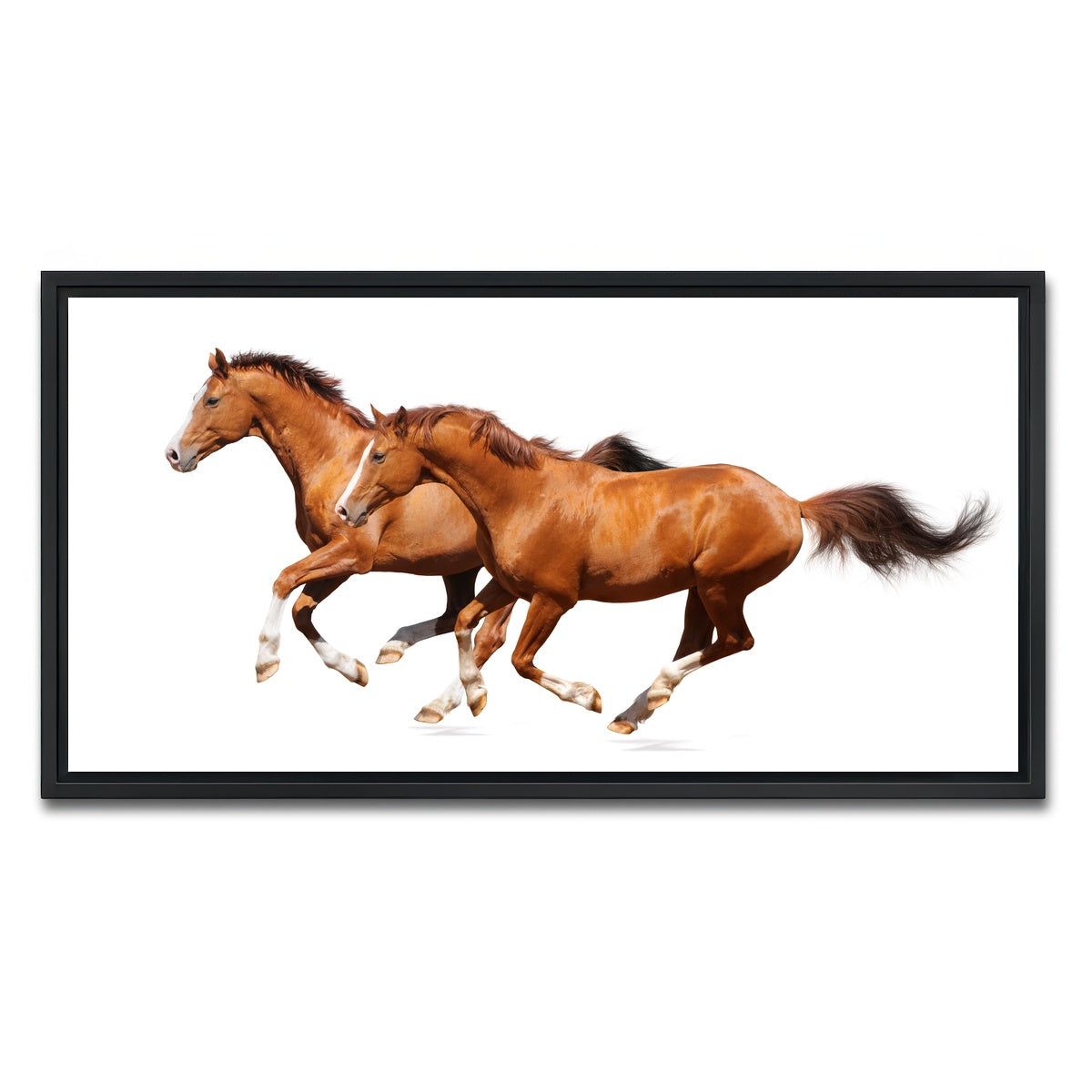 AUTO-MOCKUP WHITE | Two sorrel horses | 1 Piece | Black Framed Canvas | group=2x1