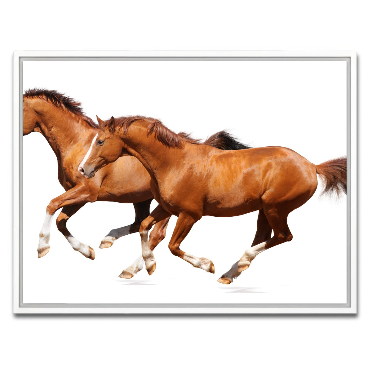 AUTO-MOCKUP WHITE | Two sorrel horses | 1 Piece | White Framed Canvas | group=4x3