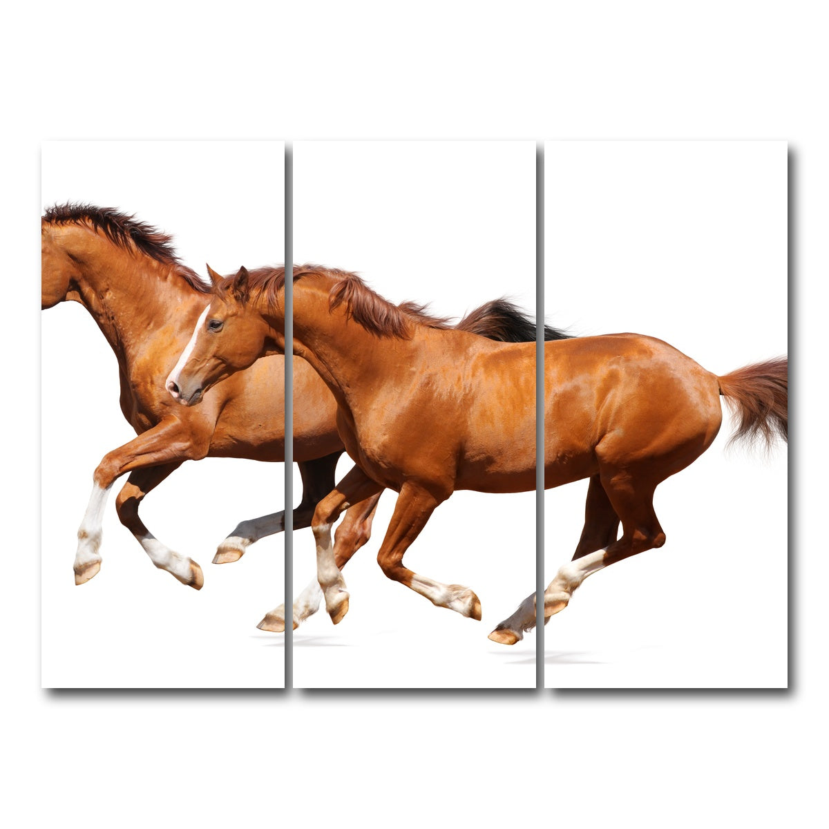 AUTO-MOCKUP WHITE | Two sorrel horses | 3 Piece | Gallery Wrap Canvas | group=8x18