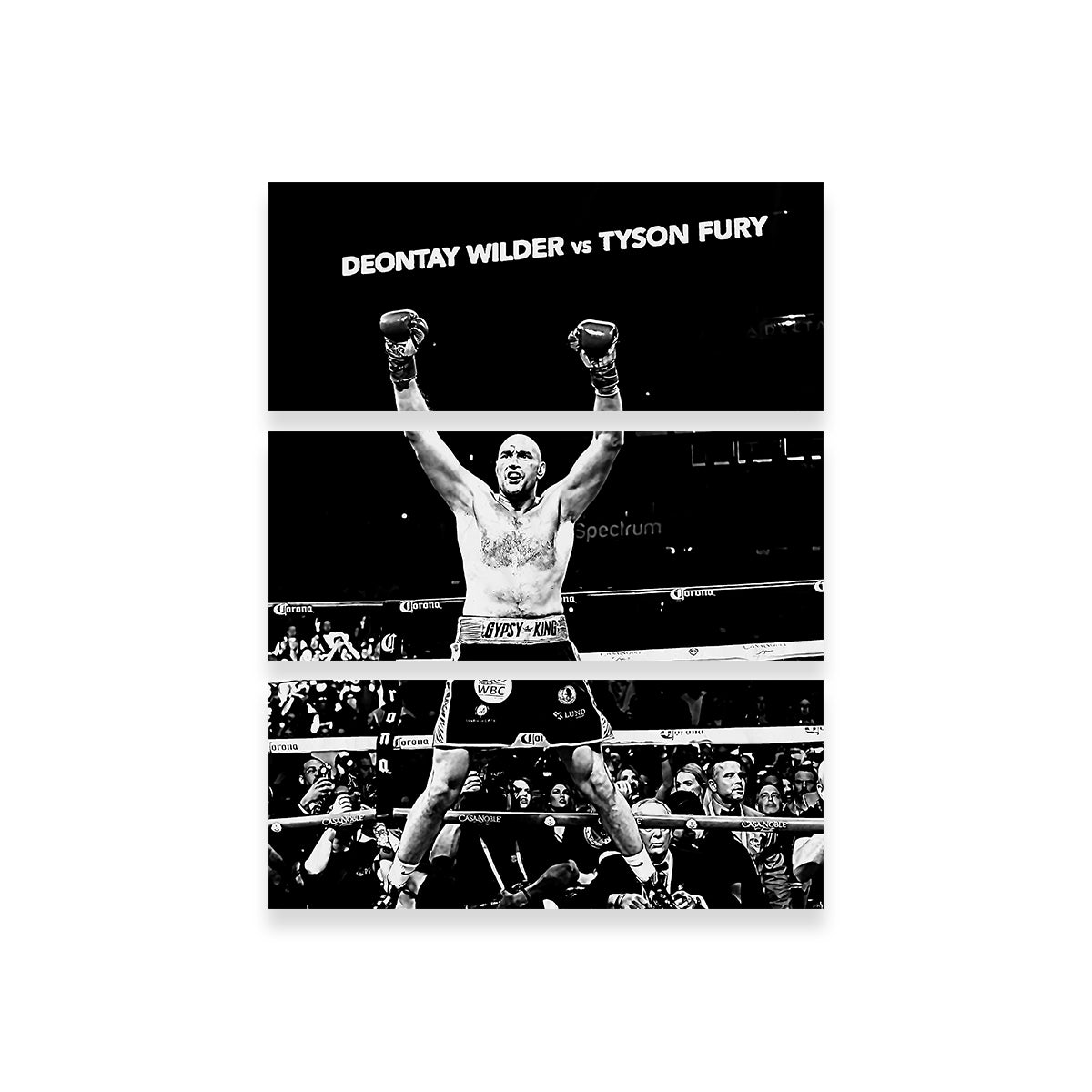 Tyson Fury Grayscale Wall Art