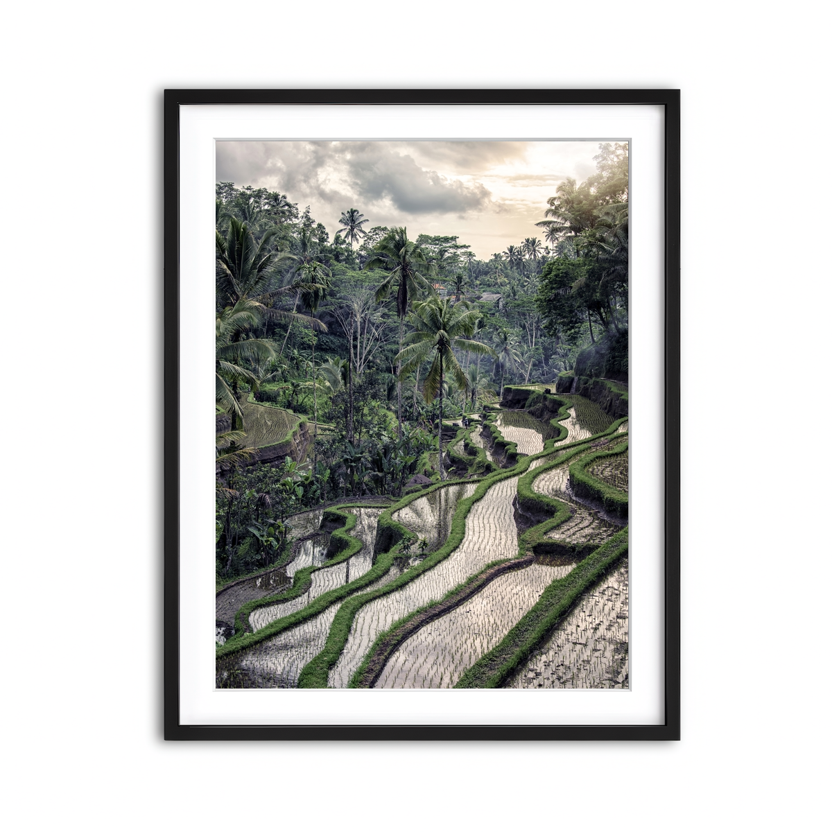 Framed Print 3x4 Black