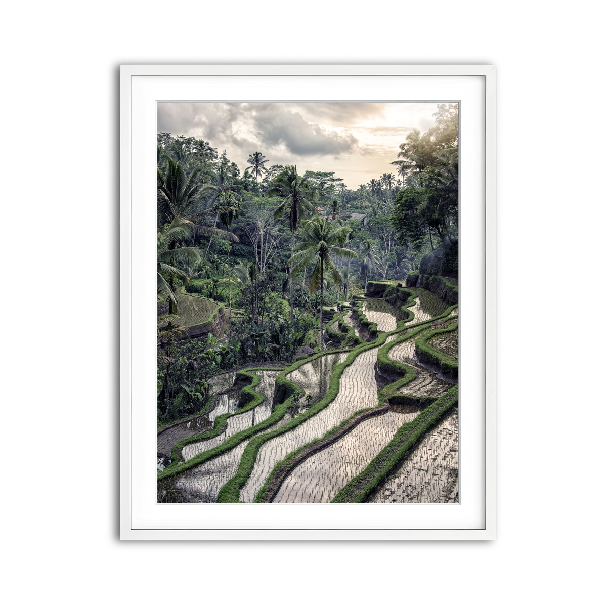 Framed Print 3x4 White