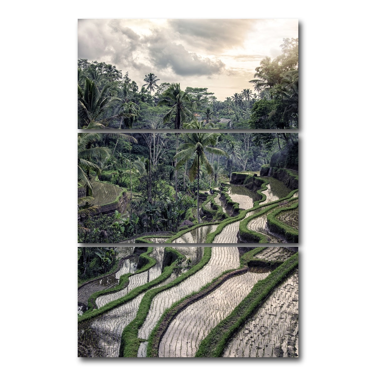 AUTO-MOCKUP WHITE | Ubud Countryside | 3 Piece | Gallery Wrap Canvas | group=12x24_stacked