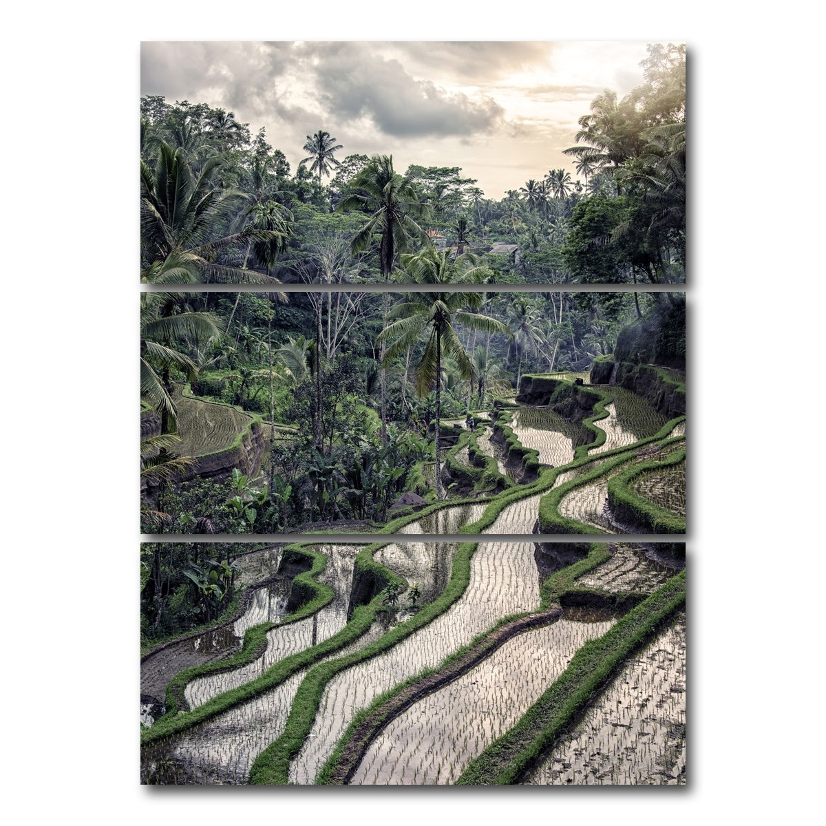 AUTO-MOCKUP WHITE | Ubud Countryside | 3 Piece | Gallery Wrap Canvas | group=8x18_stacked