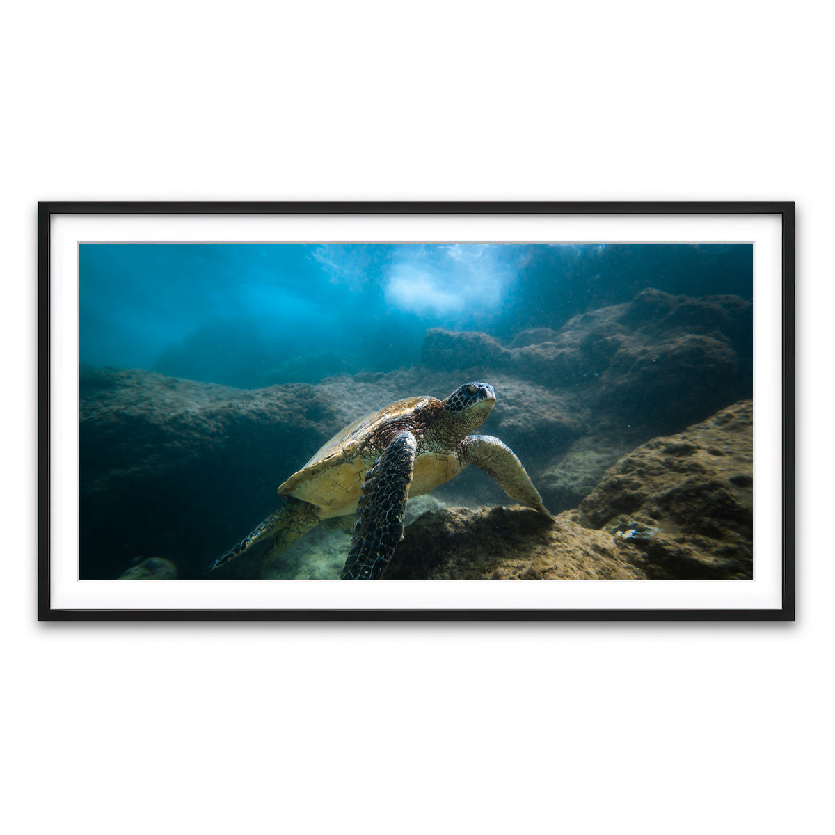 Framed Print 2x1 Black