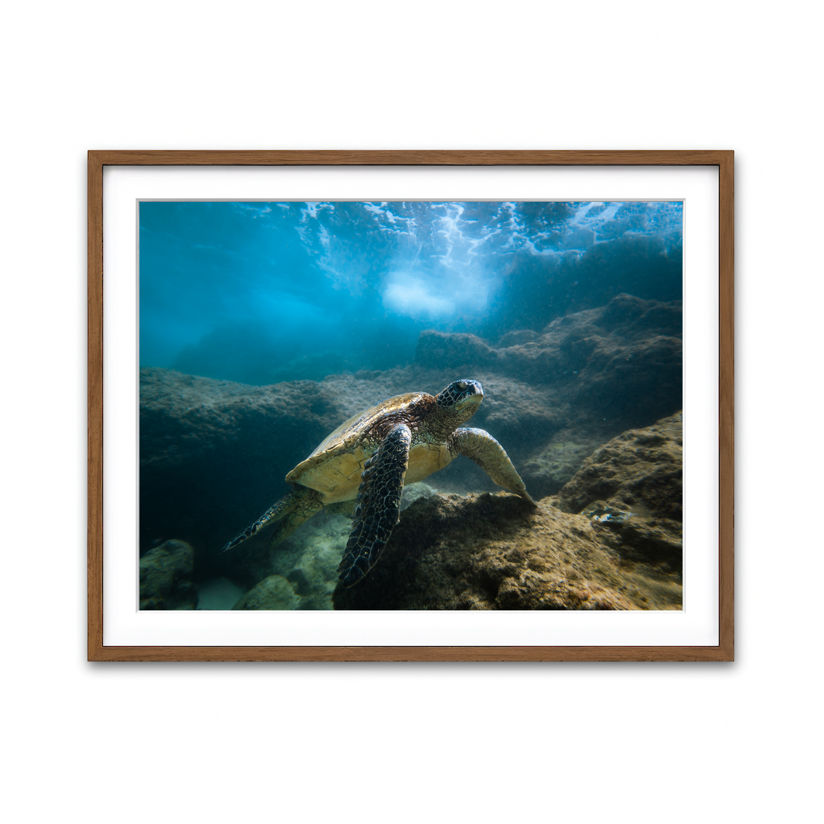 Framed Print 4x3 Walnut