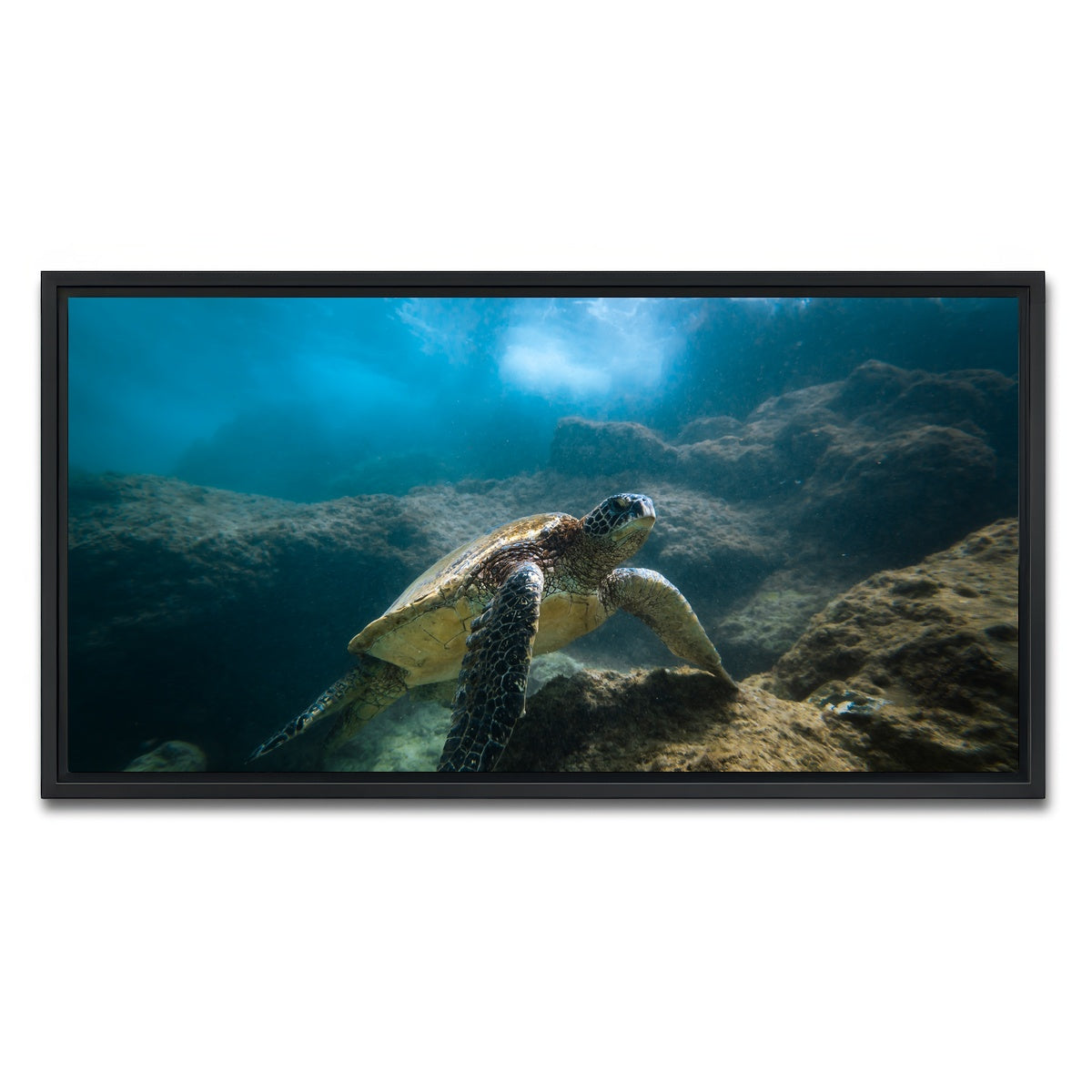 AUTO-MOCKUP WHITE | Under the Sea | 1 Piece | Black Framed Canvas | group=2x1