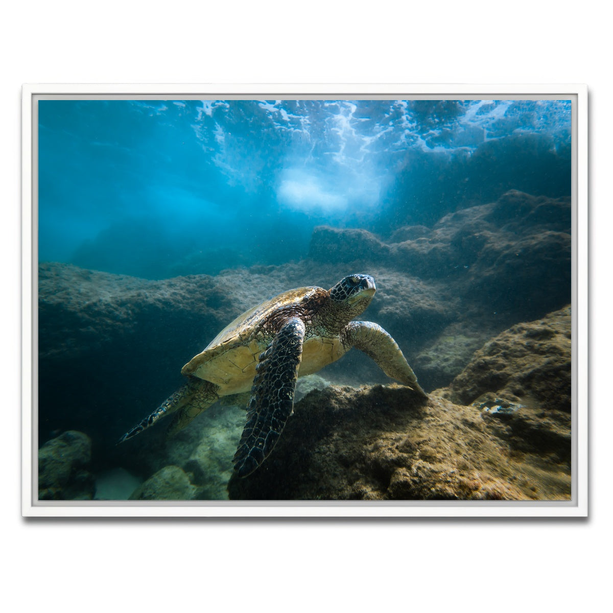 AUTO-MOCKUP WHITE | Under the Sea | 1 Piece | White Framed Canvas | group=4x3