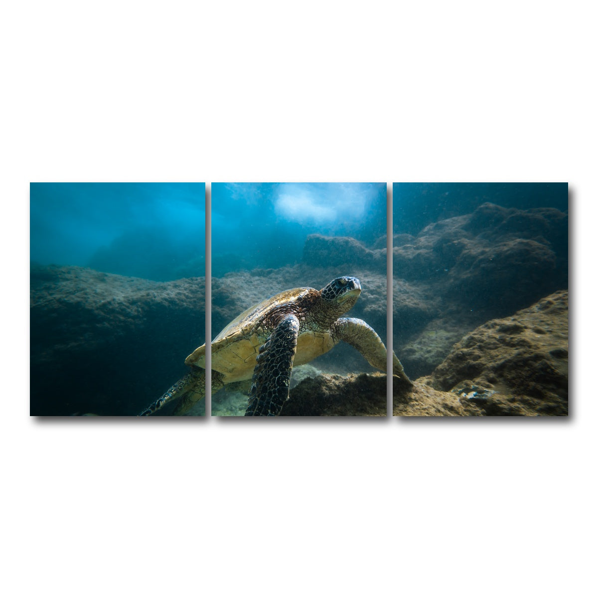 AUTO-MOCKUP WHITE | Under the Sea | 3 Piece | Gallery Wrap Canvas | group=18x24